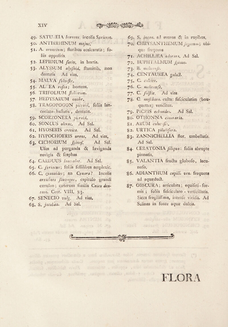 49* SATUREIA hartens. incolis Sariettt- 50. ANTIRRMINUM majus.1 51. A. orantium; floribus ecalcaratis; fo¬ liis oppofitis. 52. LEPIDIUM fativ, in hortis. 53. ALYSSUM alyjfouL flammib. non dentatis Ad vias* 54* MALVA fylveftr» 55. ALPEA rofen; hartens. 56. TRIFOLIUM fici latum. 57. HEDYSARUM tmolr. 58* I RAGOeOGON picroid. foliis lan- Ceolato - haflatis , dentatis. 59. SCORZONERA pcroid. 60. SONCUS olerac* Ad SaL 61. HYO SERIS Ad Sal. 62. HYTOCHOERIS urens,, Ad vias* 63. CICHORIUM fpinof. Ad Sal. Ulus ad purganda & iaeviganda navigia & fcaphas. 64. CARDUUS hmceolat. Ad SaL 65. C. jynacus; foliis feffllibus amplexie. 66. C* cyano i des; an Cynara? Incolis (irtkhots fauvages, capitulo grandi caeruleo ; ceterum flmiiis O/iro /rtro. Cent. VIII. 83- 67. SENECIO vulg. Ad vias* 68« S. jacobka. Ad Sal. 69. S. incaii- ad muros <St in rupibus. 70. CHRYSANTHEMUM Jegetumubi¬ que frequens 71» ACHILLiEA odorat a* Ad Sal. 72. BUPHTALMUM Jpinos. 75. B. mcUtenfe. 74. CENTAUREA g*/aT. 7 5. C. catcitn 76. C. melitenfe, 77. C. JfhlJiit, Ad vias. 78* C. mofchatn. culta: fafciculatim (bou« quettes) venditur. 79* PICRIS echtoides- Ad Sal. flo. O FHONNA ciueiarta. 81. ARUM coloctfiu 82. URTICA pilulifera. 83. ZANN1CHELLIA flor, umbellatis. Ad Sal. 84. C. E R A 'T O NI A Jil i qua: foliis abrupte pinnatis* 85. VALANTIA fruclu globofo, lacu- nofo. 86. ADIANTHUM capill. ven. frequens ad aquaeducl. 87. OBSCURA; articulata; equifeti- for¬ mis ; foliis fafciculato - verticillatis. Sicca fragiliflima, intenfe viridis. Ad Salinas in fonte aqua: dulcis. i