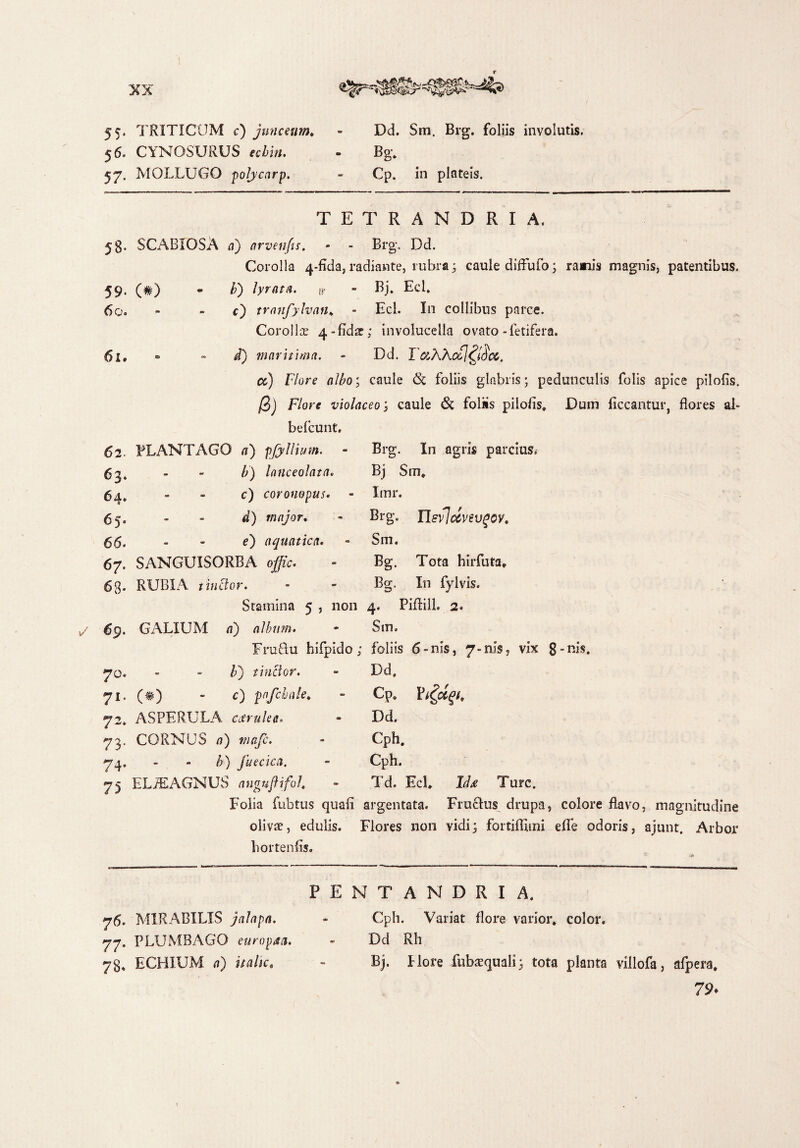 55* TRITICUM c) junceum, 5 6. CYNOSURUS tctt». 57, MOLLIJGO polycarp. Dd. Sm. Brg. foliis involutis. Bg-. Cp. in plateis. TETRANDRIA. 5§. SCABIOSA a) tirvenfts. - - Brg. Dd. Corolla 4-fida, radiante, rubra; caule difFufo; raaiis magnis, patentibus. 59. (#) - b) lyratA. w - Bj. EcL 60. - - c) tranfylvan„ - Ecl. In collibus parce. Corolla; 4-fid£e; involucella ovato-fetifera. 61. - - i) maritima. - Dd. Tc&Kkotlffift, a) Flore albo; caule & foliis glabris; pedunculis folis apice pilofis. /3j F/or« violaceo; caule 6c foliis pilofis, Dum ficcantur, flores al- befcunt. 62. PLANTAGO <?) pjyllium. 6 3. - - /f) latlceolata. 64» - - c) coron®pus* 65. - - <0 fWfl/or. 66. - - c) aquatica• 67. SANGUISORBA offic* Brg. In agris parcius* Bj Sm, Xmr. Brg. TLsvlcivevgov, Sm. Bg. Tota hirfuta, Bg. In fylvis. 63* RUBIA tinclor. Stamina 5 , non 4. PiflilL 2. v/ 69. GALIUM a) album. * Sm. Fruelu hifpido; foliis 6-nis, 7-ms, V3X 8*ni$. 70. - - F) tinclor. - Dd» 71. (#) - c) pafchale, - Cp, Vi^CCgt, Dd. 72* ASPERULA coerulea. 73. CORNUS a) tnafc. 74. - - &) fuecica. 75 ELJEAGNUS anguftifoh Cph. Cph. Td. Ecl, Ture. Folia fubtus quali argentata. Fruclus drupa, colore flavo, magnitudine olivae, edulis. Flores non vidi; fortifllmi efle odoris, ajunt. Arbor hortenfis. 76. MIRABILIS jalapa. 77. PLUMBAGO europda. 78. ECHIUM a) it alie, PENTANDRIA. Cph. Variat flore varior, color. Dd Rh Bj. Hore fubaequali; tota planta villofa, afpera, 79*