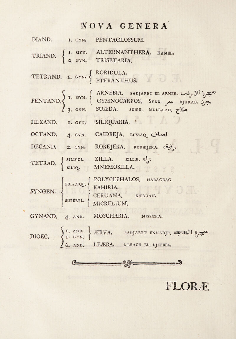 NOVA GENERA DIAND. I» GYN. PENTAGLOSSUM. TRIAND. 1. GYN. ALTERNANTHERA. hameu 2. gyn» TRISETARIA. TETRAND. i. gyn. PENTAND. I» gyn. 3. GYN. RORIDULA. PTERANTHUS. ARNEBIA. SADJARET EL ARNEE. GYMNOCARPOS. Syrr, DJARAD. SU/EDA. SUiED, MULL/EAII. HEXAND. 1. gyn. SILIQUARIA.  OCTAND. 4. gyn. CAIDBEJA. lussaq. cJUJ DECAND, TETRAD. 2. GYN. ROKEjEKA. ROKiEJEKA* S1LICUL. ZILLA. ZILLJE, sJ \r SYNGEN. SILIQ^ POL. iEQU, SUPERFL. MNEMOSILLA. POLYCEPHALOS, habagbag. KAHIRIA. CERUANA* kjeruan. MiCRELiUM. GYNAND. 4, and» MOSCHARIA. miss^eka. DIOEC. I» AND. I» GYN, 6, AND» /ERVA. SADJARET ENNADJE, SSTIX/J ) LE/EBA. LiEBACH EL DJEBBEL.