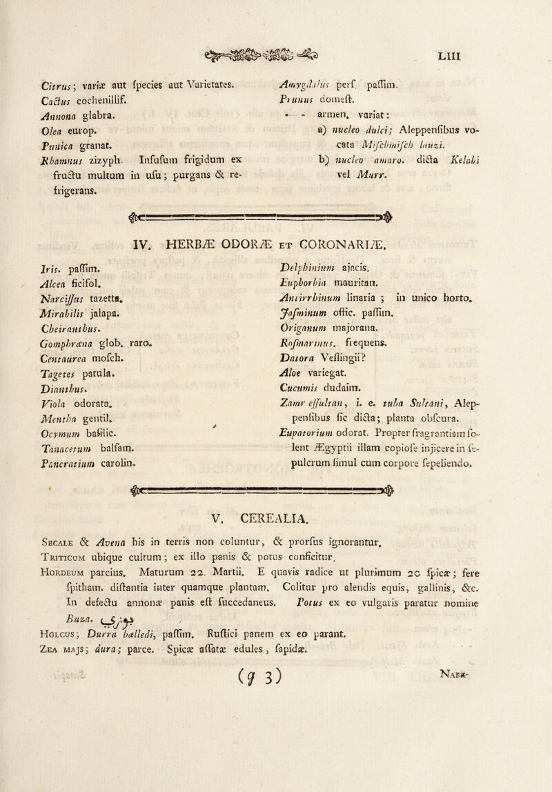 1 lih Citrus; varis aut fpecies aut Varietates» Cactus cochenillif. Annona glabra. Olea europ. Punica granat. Rhamnus zizyph. Infufum frigidum ex fructu multum in ufu; purgans & re¬ frigerans. ffic. ■ —- IV. HERB/E ODORiE Iris. pafTim. Alcea ficifol. Narcijjns tazetta* Mirabilis jalapa. Cheiranthus. Gomphreena glob* raro. Centaurea mofeh. Tagetes patula. Dianthus. Viola odorata* Mentha gentil* Ocymum bafilic. Tanacetum balfam. Pancratium carolin» Amygdalus perf paflim. Prunus domeft. - armen. variat: a) nucleo dulci; Aleppenfibus vo¬ cata Mifchmifch lauzi. b) nucleo amaro, dicta Relabi vel Mnrr. et CGRONARI/E. Delphinium a jacis. Euphorbia mauritan. Antirrhinum linaria ; in unico horto* Jnfminum offic. paffim. Origanum majorana. Rnfmannus. frequens. Dator a Veflingii? Aloe variegat. Cucumis dudaim. Zamr ejjultan, i. e. tuba Sultanty Alep- penlibus fic dicta; planta obfcura. Eupatorium odorat. Propter fragrantiam fo- lent iEgyptii illam copiofe injicerem ie- pulcrum fimul cum corpore fepeliendo. V. CEREALIA. Secaie & Avena his in terris non coluntur, & prorfus ignorantur. Triticum ubique cultum ; ex illo panis <5c potus conficitur. Hordeum parcius. Maturum 22. Martii. E quavis radice ut plurimum 20 fpicae; fere fpitham. diftantia inter quamque plantam. Colitur pro alendis equis, gallinis, In defectu annonse panis eft fuccedaneus, Potus ex eo vulgaris paratur nomine Buza. ( Holcus; Durra balledi, paflim. Ruftici panem ex eo parant. Zea majs; dura; parce. Spicae affatae edules , fapidae.