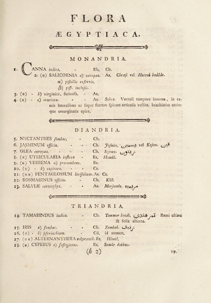 JEGYPTIACA. i. 3- (*) 4- (*) MONANDRIA* Rh* Ch. ANNA indica* 2. (f) SALI CORNI A «) europ&a, As* Chrsft vel Hattab haddde. -piftillis exfertis* /3) pifl- inchifis. /?) virginica, farinofa. - As* c) cruciata. - - x^s. 5M//I. Vernali tempore inventa , in ra¬ mis lateralibus ac fuper florum flpicam articulis veftita, brachiatim utri ii¬ que emarginatis apice» D I A N D R I A, Ch. Ch. Jafmiii. Kajatt. 5. NYCTANTHES //«^c* 6. JASMINUM cfficin. 7. OLEA europ£a. - g. (*) UTRICULARIA jn/fcxfl 9, (#) VERBENA /1) procumbens, 3 0. ($) - /?) capitata* ir. (#*>) PENTAGLOSSUM lini folium. As, Cs. 12. ROSMARINUS officiu. - Ch. A7z/. 13. SALVIiE ceratopbyt* - - As. Merjamie. Ch. Sejtun. Rs. HfimuL Rs. Cs. T R I A N D R I A* 14. TAMARINDUS Mor. Ch. Tamrner lendi» t _$(yJ>sb , * • & folia alterna. Ch. Zambak. eJuS Rami ultima 15. IRIS rt) famlnc. 16. (#) • A) ftfyrinchium. - Cd* id nomen* 37. (# t ) ALTERNANTHERA tchyrantb. Rs* Hame!, 3 8* (#) CYPERUS a) fiftigiatus. Rs* Samur dabbus* (fi 2) uT I#.