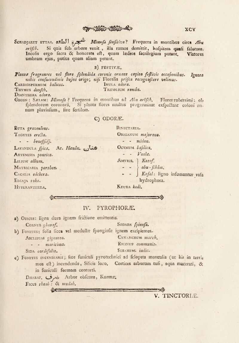 «•% Schadjaret ettaa. JI Mitmfafenjmva ? frequens m montibus circa /?/>« nrifch. Si quis fub arbore venit. , illa ramos demittit, hofpiten* q^afi falutans* Incolis ergo facra & honorata eft, quam laedere facrilegium putant. Viatores umbram ejus, potius quam aliam petunt.. B). FESTIViE. TJanta fragrantes vel flore fplendid& coronis ornant capta feflivis occafionibus* Ignota nolis confuetudinis hujus origo; niji Floralia prifca recognofcere velimus* Cardiospermum halicae* Inula odora. Thymus donfclu Trifolium rem an. Dianthera odora. Ghosn : Sjelam: Mimofa ? Frequens m montibus ad Ahu artfeb, Flores ruberrimi r ob lplendorein coronarii. Si planta flores multos progerminat exfpecfant coloni an¬ num pluviofum, live fertilem. C) ODORiE^ Ruta graveolensu Tagetes erecta.. - - beneffidj. Lavandula fpica, Aiv Ha natu Artemisia pontica. Lilium' album, Matricaria parthem* C ac alea edehera•> Elcaja i oka- Hy feranthera. Binectakia. Origanum major ana. - - mi dati. Ocymum bafilica, - - Vani a. Amyris, 1 Katnf - * > ahu -Jchdm, - - J Kaflil; ligno infamantur vafa hydrophora» Keura kadi* IV. FYROPHORfE. a) Obices: ligna dura ignem frictione emittentia; Cornus gbnrafl Sodada fpinofa. b) Fomites: folia iicca vel medulla fpongiofe ignem excipientes- Asclepias fgantea. Cynanchum. march, - - maritima. Ricinus communis. Sida cor di folia,. Sesamum, indic.■ c) Fomites incendiarii;, fiue funiculi pyrotechniei ad felopeta manualia (ut his in terris mos eft) incendenda , Silicis loco. Cortices arborum tuli, aqua macerati, & in funiculi formam contortk Dharaf. Arbor obfcura, Rurmae; Ficus thaab : mudah. V. TINCTOR[/E.