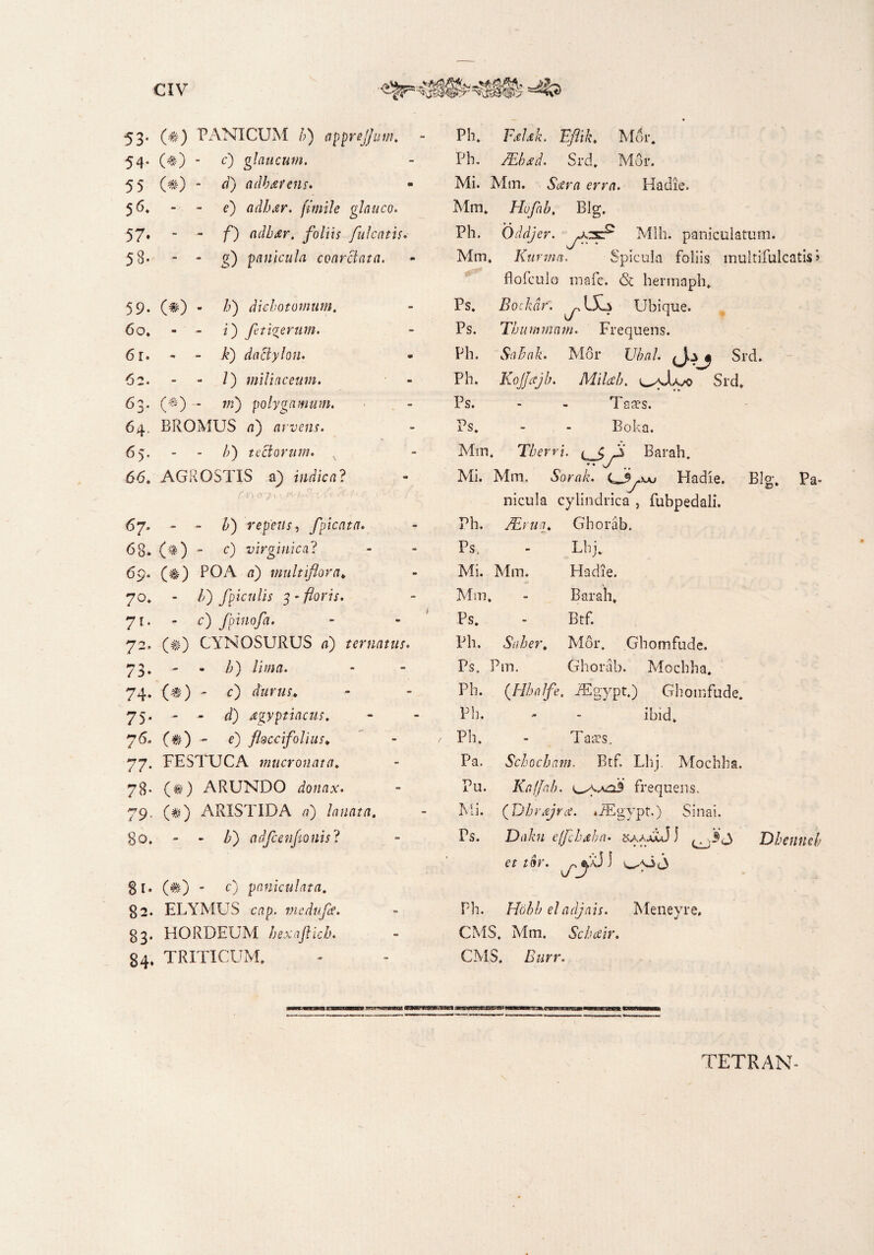 53* (f) PANICUM /’) 0ppreflum. Ph. F.eleh. Eflik. Mor. 54* (#) - c) glaucum. Ph. /Eb<ed. Srd. Mor. 55 (#) - d) adhatcns• Mi. Mm. Yerrt errrt. Ha die. 56. e') adhar. fimile glauco. Mm. Hvfab, Blg. 57» /) adbar. foliis fulcatis. Ph. Oddjer. ypcxP Mlh. panicularum. 53. ■  g) pMMuIa convelata. Mm «e3* . Kurmci. Spicula foliis multifulcatis > flofculo mafe. & hennaph. 59. (#) - Z>) diebotomum. Ps. Bockdr. Ubique. 60. - - i) fetiferum. Ps. Thumnam. Frequens. 6r. - - £) dactylon. Ph. SaBah. Alor U/W. ^4^ Srd. 62. /) miliaceum. Ph. Kojfajb. Milecb. (^a,Aa/o Srd. 63. (*) - 7/2) polygnmum. Ps. Taaes. 64. BROMUS 71) avvens. Ps. Boka. 65. b) tectorum. Mm. Tbervi. t ^ V Barah. 66. AGROSTIS a) indica? Mi. Mm. Sornk. ^Jyyju Fladie. Blg. Pa* nicula cylindrica , fubpedali. 67* - - Z>) repens, fpicata. Ph. JErua* Ghorab. 68. (t-) - c) virginica? Ps, Lhj. 69. (#) POA «) multiflora* Mi. Mm. Ha die. 7°* />) /piculis 3 - /?om. Mm, . - Barah. 71* c) fpinofa. Ps. Btf. 72. (#) CYNOSURUS 21) tertiatus. Ph. Suber. M61*. Ghomfude. 73* b) lima. Ps. Pm. Ghorab. Mochha. 74* (#) - c) durus* Ph. (.Hhalfe. iEgypt.) Ghomfude. 75* - - d) Agyptiacus. Ph. - - ibid. 76* (#) - e) fhccifolius* Ph. Tases, 77- FESTUCA mucronata. Pa. Scbocham. Btf. Lhj. Mochha. 73- (#) ARUNDO donax. Pu. Kafjah. frequens. 79- (#) ARISTIDA /2) Mi. ([Dbrajra. «iEgypt.) Sinai. 80. 81» - - /;) adfcenftonis ? (#) - c) paniculata. Ps. Dakn effchdha. I Dhenneb et tor. ) wyi<j 82. ELYMUS cdp. medupe. Ph. Hobb eladjais. Meneyre, 83* HORDEUM hexaftkh. CMS. Mm. Scbair. 84, TRITICUM. CMS. Burr. TETRAN-