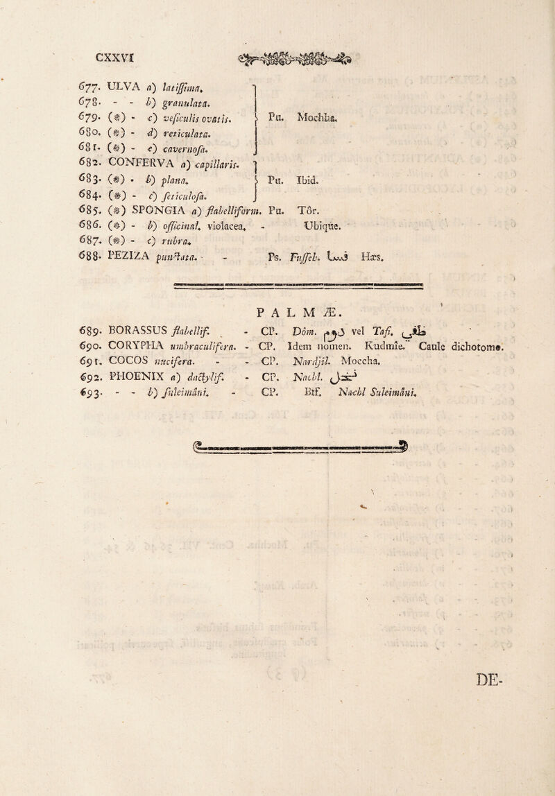677. ULVA <?) latiffima* 67o'  - £) gr anulata. &79' ($) “ c) ve ficulis ovatis, 680* (#) - reticulata. 681- (#) - (?) caverno fu 682. CONFERVA (?) capillaris. > PlL » 683* {#) • ■/>>) plana* Pia. 684* ($0 - 0 feticulofa* J 685* (#) SPONGIA d) fiabelliform. Pn. 686. (#) - £) officiunt violacea* 687. (#)  c) rubra* 688* PE2I2A punctata.' - Fs. Modilia, Ibid. rir1 A I or. Ubique. / Fujfeh, Ljcm3 HcPS* 689. BORASSUS flabellifi 690. CORY PPIA umbraculi fer a. 69 f, COCOS nuci fera. 692. PHOENIX n) dactylif €93. - - £) fukimani* PALM AS. CP. Doni. vel Th/?. - CP. Idem nomen. ICudmie. Caule dichotom®. - CP. Nardjll Moecha, » CP. bJacbl. (Jcsr* CP. Btf, Nachl Sukimduu