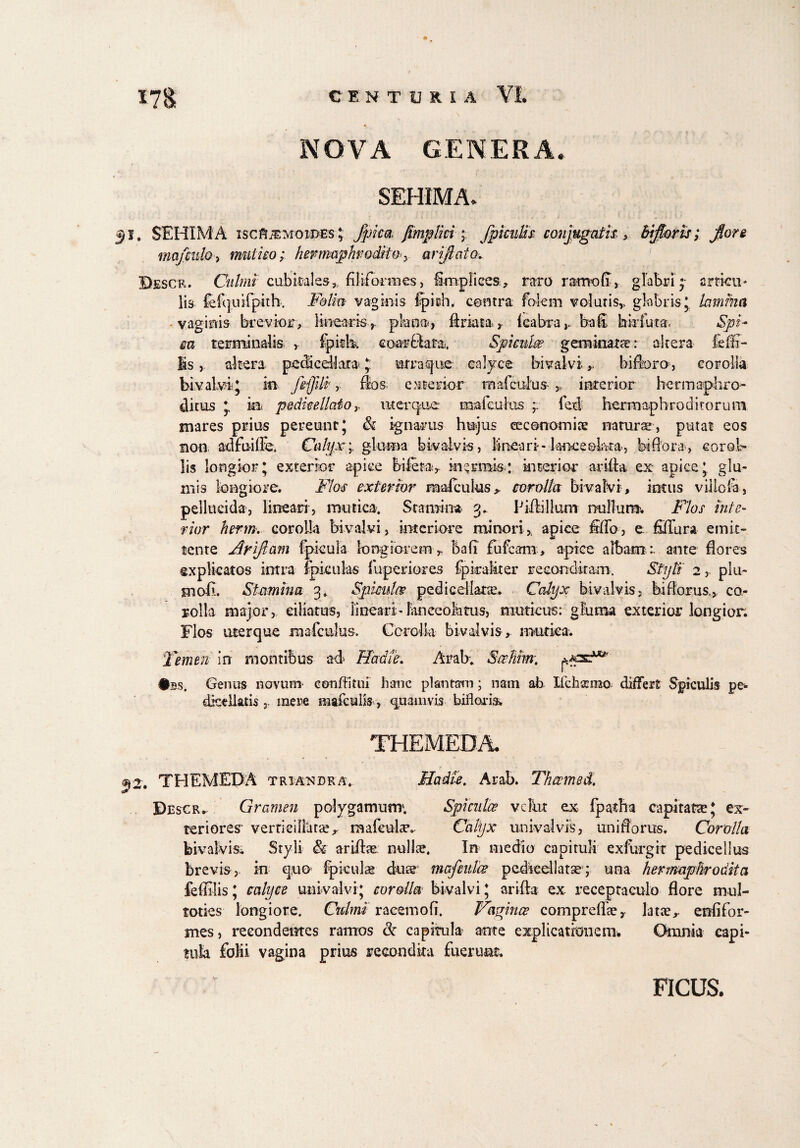 NOVA GENERA. SEHIMA. 51. SEHIMA iscftiEMOiPEs; Jpim fimplicifpicuWs conjugatu, bifiorts; jfore mafiulo, mutuo; hermaphrodito^ arifiaio. Descr. Culmi cubitales, filiformes, fimpliees, raro ramo fi, glabri •• srticu* lis lefcjuifpith. F&lm vaginis fpieh. contra fokm volutis,, glabris 'y lamina vaginis brevior, linearis,, plana, flmta r leabrabafi hirfuta. Spk ea terminalis , fpiik coarflara, Spimke geminatae: altera feffi- Isaltera pedieellata J utraque calyce bivalvibiforo, corolla bivalvi; m ftjfili, flos exterior maiculu» » interior hermaphro¬ ditus *y Mi p&dkellaior uterqtie mafculus fed hermaphroditorum mares prius pereunt ; & ignarus hujus cecenomiae naturae, putat eos non adfnifFe. Calyx ? gluma bivalvis, lineari-lanceoiata, bifora, corol¬ lis longior; exterior apice bifera, inermis: interior arifia ex apice; glu¬ mis longiore. Flos exterior maicuks* corolla bivalvi, intus viilofa, pellucida, lineari, mutica. Stamina 3. Pifiillum rmlfum. Flos inte¬ rior herm. corolla bivalvi , interiore minori,, apice fiffo, e fifTura emit¬ tente Jdriftam fpkula longiorem r bafi fufeam, apice albam :, ante flores explicatos intra fpicuks fuperiores fpkaliter reconditam. Styli 2,. plu- mofi. Stamina 3. Spimkp pedicellatre. Calyx bivalvis, bi florus., co¬ rolla major, ciliatus, lineari-laneeofetus, muticus: gluma exterior longior. Flos uterque mafedus. Coroiki bivalvis, nautica. Femen in montibus ad Hadie. Arab. Scehim, paac*** $bs. Genus novum- confli tui hanc plantam; nam ab Ifchsemo, differt Spiculis pe- dkellatis mere mafeuiis, quamvis biliaris, THEMEDA THEMEDA triandka. Hadie. Arab. Theemed. Descr. Gramen polygamunr. Spkulce vclut ex fpatha capitatae; ex¬ teriores verrieilllita?r mafeuLr. Calyx univ alvis, uniflorus. Corolla bivalvis. Styli & arifiae nulla?. In medio capituli exfurgit pedicellus brevis, in qsuo fpicular dusr mafmlk pedteellatseq una hermaphrodita feffilis; calyce univ alvi; corolla bivalvi; arifta ex. receptaculo flore mul- toties longiore. Culmi racemo fi. Faginee compreflae, lata?, enfifor¬ mes, recondentes ramos & capitula ante explicationem. Omnia capi¬ tula folii vagina prius reeondka fuerunt. FICUS.