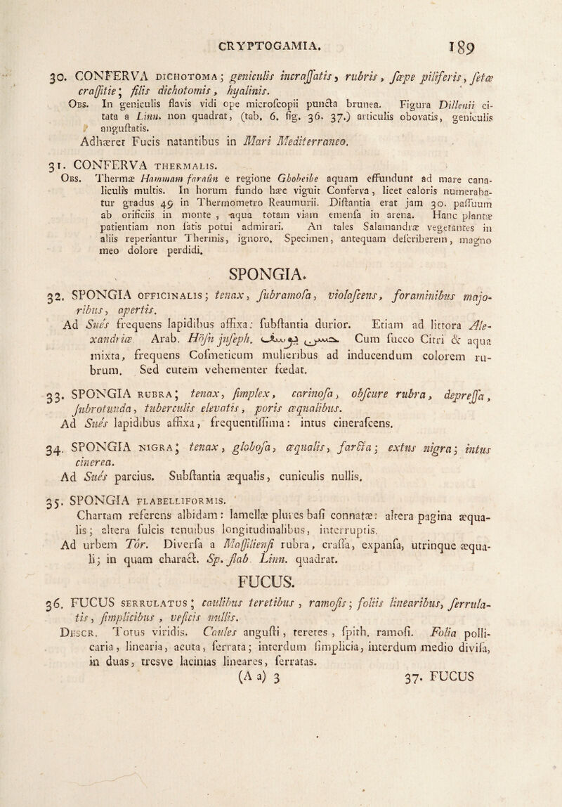 co 30. CONFERVA dichotoma ; geniculis incr affatis> rubris, faepe pii feris, fetce crajjitie * filis dichotomis, hyalinis. Obs. In geniculis flavis vidi ope microfcopii puncla brunea. Figura Dillenii ci¬ / anguftatis. Adhaeret Fucis natantibus in Mari Mediterraneo. 3T. CONFERVA THERMAL1S. Obs. Thermae Hammarn fnraun e regione Ghobeihe aquam effundunt ad mare cana¬ liculis multis. In horum fundo haec viguit Conferva , licet caloris numeraba¬ tur gradus 49 in Therrnometro Reaumurii. Diflantia erat jam 30. paffuum ab orificiis in monte , -aqua totam viam emenfa in arena. Hanc planta patientiam non fatis potui admirari. An tales Salamandrae vegetantes in aliis reperiantur Thermis, ignoro» Specimen, antequam deferiberem, magno meo dolore perdidi» SPONGIA. 2. SPONGIA officinalis ; tenax, fiibrarnofa, violafcens, foraminibus majo¬ ribus > apertis. Ad Sues frequens lapidibus affixa; fubftantia durior. Etiam ad littora Ale- xandrice Arab. Hdfn jufeph. Cum fucco Citri & aqua mixta, frequens Cofmeticum mulieribus ad inducendum colorem ru¬ brum. Sed cutem vehementer fcedat. 33. SPONGIA rubra; tenax, fimplex, carinofa > obfcure rubra, deprejfa, Jubrotunda, tuberculis elevatis, jponx aequalibus. Ad *S«/x lapidibus affixa, frequentiffima: intus cinerafcens. 34. SPONGIA nigra* tenax, globofa, aequalis, far di a• nigra] intus cinerea. Ad SWx parcius. Subftantia aqualis, cuniculis nullis. 35. SPONGIA FLABELLIFORMIS. Chartam referens albidam: lamellae plnrcsbah connata;: altera pagina a:qua- lis; altera fulcis tenuibus longitudinalibus, interruptis. Ad urbem Tor. Diverfa a Maffilienfi rubra, crafla, expanfa, utrinque aequa¬ li; in quam characl. Sp.fab- Linn. quadrat. FUCUS. 36. FUCUS serrulatus ; caulibus teretibus , ramofis; foliis linearibus, ferrilla¬ tis , fimplicibus , ve ficis miliis. Dbscr. Totus viridis. Caules angufli, teretes , fpith. ramofi. Folia polli¬ caria , linearia, acuta, ferrata; interdum fimplicia, interdum medio divifa, in duas, tresve lacinias lineares, ferratas.