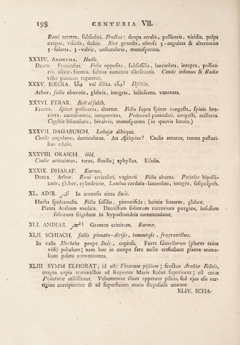 Fami teretes, fubfcabri. FruBus\ drupa -ovalis, pollicaris, viridis, pulpa exigua, vifcida, dulcis. Nux grandis, obtufe 5-angulata & alternatim 5-fulcata, 5-valvis, unilocularis, monofperma. XXXIV, Anonyma. Hadie. ■Descr. Fruticulus. Folia oppofin , fubfeffilia , lanceolata, integra, pollica¬ ria, olivae-formia, fubtus tomento albefcenria. Caulis infimus & Radix villis puniccis teguntur. XXXV. BfECKA. IXa vel Ebka. cSLH Djbblce, Arbor, foliis obovatis, glabris, integris, la&efcens, venenata. XXXVI. FERAR. Beit elfakih. Frutex. Spinee pollicares, alternae. Folia fupra fpinas congefla, fpinis bre¬ viora, cuneiformia, integerrima. Pedunculi paniculati, congefti, axillares. Capfula bilocularis, bivalvis, monofperma (in quovis loculo.) XXXVII. DAGABUSCH. Lohajce alibique. Caulis angulatus, denticulatus. An Aj'clepi as 1 Caulis amarus, tamen pallori¬ bus edulis, XXXVIII. OKASCH. ibid. Caulis articulatus, teres, flexilisj aphyllus. Edulis. XXXIX. DBA RAF. Kurmcp, Descr. Arbor, Rami articulati, vaginati. Folia alterna. Petiolus bipolli-- caris, glaber, cylindricus. Lamina cordato-lanceolata, integra, fefquifpith. XL. ADIR. In arendis circa Sues. Herba fpithamalis. Folia feflilia, pinnarifida ; laciniae lineares, glabrae. Planta Arabum medica. Decotlum foliorum recentium purgans. Infufuni foliorum frigidum in hypochondria commendatur, XLL ANDIAR. yzf) Gramen crinitum. Kurmce. XLIT. SCHIACB. foliis pinnato - divi fis, tomentojis , fragrantibus. In valle Mosbeha prope Sues , copiole. Forte Gazellarum (plures enim vidi) pabulum 5 nam hoc in campo fere nullae creicebant plantae anima¬ lium palato convenientes. XLUI. SYMM ELBORAT, id elt: Venenum pifeium \ frufius Arabice Felicis, magna copia rransveftus ad Regiones Maris Rubri fu peri ores ’ eft enim Pifcaturce utiliffimus. Vehementer illum appetunt pilees, led ejus efu ver¬ tigine corripiuntur & ad fuperficiem maris Itupefacli enatant. XLIV, SCHA- 1