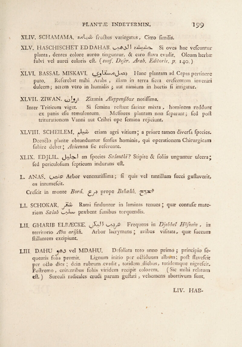 XLIV. SCHAMAMA. 5x1* cb fractus variegatus. Citro fimilis. XLV. HASCHISCHET ED DA EI AB. J Si oves hac vefeuntur planta , dentes colore aureo tinguntur, & caro flava evadit. Oleum herbae fulvi vel aurei coloris cfh (conf, Defer, Arab, Editoris, p. 140.) XLVI. BASSAL MISKAVI. Hanc plantam ad Cepas pertinere puto. Referebat mihi Arabs , illam in terra ficca crefcentem inveniri dulcem; acrem vero in humidis ; aut nimium in hortis fi. irrigatur. XLVIL ZIWAN. Zizania Aleppenfibur notiffima. Inter Triticum viget. Si femina reflant farinae mixta r hominem reddunt ex panis efu temulentum. Meliores plantam non feparant; fed poli triturationem Vanni aut Cribri ope femina rejiciunt; XLVIII. SCHEILEM. (XtA etiam agri vitium* a priore tamen diverfa fpecies; Decoffo plantae obtunduntur fenfus hominis,. qui operationem Chirurgicam fubire debet J Avkemw fic referente. XLIX. EDjLIL. an fpecies Scetanthil Stipite & foliis unguntur ulceraj fed periculofum iepticum indurans efh L. ANAS, o^ast Arbor venenariflma;; II quis vel tantillum fnccl guffaverir^ os intumelcit. Crefcit in monte Bora. prope Behahh. ^ppsA- LL SCHOKAR. Rami finduntur in laminas tenues * quae contufae mate¬ riem Scrlab probent funibus torquendis. Eli. GHARIB ELBfECKE. Frequens in Djebbet Hbjhem r in territorio Abu arifeh. Arbor lacrymans * avibus vifitata* quae fuccurre ifillantem excipiunt. LIII DAHU vel MDAHU. Defoliata teto anno primo •> principio (e- queatis folia promit. Lignum initio per obKduum album; pofb fla ve fc it per ocio dies ; dein rubrum evadit, totidem diebus, totklemque nigrebar.. Poitremo , enitentibus foliis viridem recipit colorem. (Sic mihi relatum efL) Surculi» radicales crudi, parum guftatr , vehemens abortivum, funt., L1V. HAE-