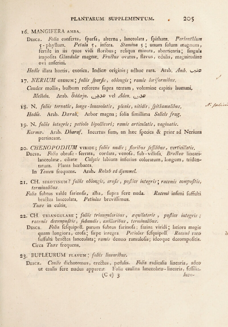 16. MANGIFERA amba. Descr. Folia conferta, fparfa, alterna, lanceolata , fpitham. Perianthtum 5 - phy Ilum* Petala 5 , infera. Stamina 5 ; unum folum magnum , fertile in iis quos vidi floribus* reliqua minuta,, abortientia; lingula impofita Glandulae magnae, Frufitus ovatus, flavus, edulis, magnitudine? ovi anferini. Hadie illata hortis, exotica, Indicae originis; adhuc rara. Arab, Amb. 17. NER IUM obesum; joliis fparjis, oblongis* ramis loriformibus. Caudex mollis > bulbum referens fupra terram , volumine capitis humani, f o Melhdn. Arab. Oddcejn. ps vel Aden, ^ £>£ ig. N, foliis tematis, longe - lanceolatis, plenis, nitidis, fpithamalibus'., Hadie. Arab. Dcerah. Arbor magna ; folia fimillima Salicis frag. jcj. N. foliis integris; petiolo bipolUcari; ramis articulatis, vaginatis. Kurmcv. Arab. Dharaf.. Incertus fum, an haec fpecies & prior ad Nerkmi pertineant. 20. CHENO PODIUM viride; foliis nudis ; floribus feffiMus? verti dilatis, Decsr. Folia obrufe - ferrata, cordata, venofa, fub - villofa. Bradece lineari- lanceolatae, ciliatae Calycis labium inferius coloratum, longum, triden- tarum. Planta herbacea. In Temen frequens, Arab, Rokeb ed djemmeL 21. CH. serotinum? foliis oblongis,, erofis , pofiice integris ; racemis compofitisy terminalibus. Folia fubtus valde farinofa, alba,- fupra fere' nuda. Racemi inflmi fuffuki bractea lanceolata* Petiolus breviflimusv Taces in cultis.. 22. CH. triangulare ; foliis triangularibus r crqui/aferis pojlice integris ; racemis de campo fit is r fubnndis r axillaribus y terminalibus: Descr Folia fefquipoll. parum fubtus farin-ofa; farina viridi; latiora magis quam longiora, erola; feepe integra Petiolus fefquipoll. Racemi raro fuffulti braQea lanceo lata; ramis denuo ramulofis • ideo que decompofitis. Circa Taces frequens,. 23. BUPLEURUM flavum! foliis linearibus Descr. Caulis dichoromus, ere&us, pedalis, Folia radicalia linearia,- adeo ut caulis fere nudus appareat Folia caulina lanceolato-linearia, fefliiia, (C c) 3: Inuo-