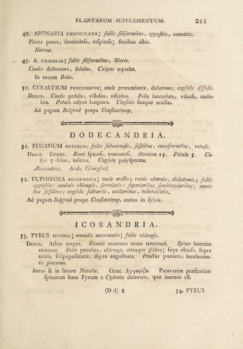 48. ARENARIA fasciculata; foliis filiformibus, oppojitis, connatis. Planta parva , fruticuLofa, ccfpitofa; floribus albis. Knrmce. 49. A, FiLiFOLiA ; foliis filiformibus, liberis. Caules dichotomi, debiles. Calyces aequales. In monte Boka. 50. CERASTIUM procumbens; caule procumbente, dichotomo; capfiilis djffufis. Descr. Caulis pedalis, vilJofus, vifcidus, Folia lanceolata, vifcofa, undu¬ lata. Petala calyce longiora. Capfinlce fiemper er ebite. Ad pagum Belgrad prope Conjlantinop. DODECAMDRIA. 5 j, PEGANUM retusum: foliis fubcarnojis, feftlibus, cuneiformibus, retufs. Descr. Frutex. itGmz fpinofi, tomentofi. Stamina 15. Petala 5. Qs- /f/.v 5 “fidus, inferus, Capfula polyfperma. Alexandrice. Arab. Gharghed. 52. EUPHORBIA belgradica ; caule erecfo; rflwzV alternis, dichotomis * jo/f/V oppojitis \ caulinis oblongis f ferrulatis : jkperioribus femicircularibus; omni- ftfdibus; capfiilis folitariis , axillaribus , tuber culatis. Ad pagum Belgrad prope Conftantinop. rarius in fylvis. ICOSANDRIA. 53, PYRUS spinosa; ramulis mucronatis \ foliis oblongis. Descr. Arbor magna, Ramuli mucrone acuto terminati. Spinee laterales minores. Fb/m petiolata, oblonga, utrinque glabra; fiepe obtufa, lupra nitida, fefqiHpoilkaria, digito angufiiora, Fru&us pomum, loculamen- - tis plurimis, iffiroj* & in littore Nat oli ce. Gnec. Ayysffcc, Putaverim prsefentiam fpinarum hanc Pyrum a Cydonia dirimere, qute inermis eft. (D d) 2 54. PYRUS