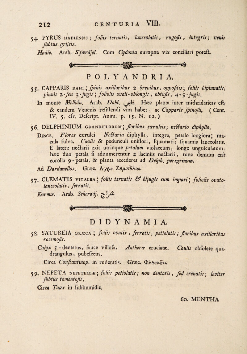 \ - 54. PYRUS h adiens: s ; foliis tematis, lanceolatis, rugojis, integris; venis fubtus grijeis. Hadie. Arab. Sfaerdjel. Cum Cydonia europaea vix conciliari poteft* POLYANDRIA. j$# CAPPARIS dahi ; fpinis axillaribus 2 brevibus, oppoftis\ foliis bipinnatis, pinnis 2-feu 3 -jugis ; foliolis ovali - oblongis , obtnjis, 4*9-jugis. In monte Melhdn, Arab. .Da/fo'. Haec planta inter mithridaricas eft, & eandem Venenis refifiendi vim habet , ac Capparis fpinofa# ( Cent. IV, 5. cfr. Defcript, Anim. p. 15. N. 12.) 56. DELPHINIUM grandiflorum; floribus coeruleis; ne&ario diphylto. Descr. Flores caerulei. Nefiaria diphylla, integra, petalo longiora; ma¬ cula fulva. Caulis & pedunculi uniflori, fquamati; fquamis lanceolatis. E latere neftarii exit utrinque petalum violaceum, longe unguiculatum: haec duo petala fi adnumerentur 2 laciniis neflarii, tunc demum erit corolla 9-petala, & planta accederet ad Delph. peregrinum. Ad Dardanellos. Graec. Ayyo Za[jL7r&Aict,. 57. CLEMATIS vitalba ; foliis ternatis & bijugis cum impari J foliolis ovato- lanceolatis, ferratis. Ktirmce. Arab. Scheradj. DIDYNAMIA* 58. SATUREIA gr/eca ; /o/iVj* , ferratis, petiolatis; floribus axillaribus racemo fis. Calyx 5-dentatus, fauce villofa. Antherce cruciatae. Caulis obfolete qua¬ drangulus , pubefcens, Circa Conftantinop. in ruderatis. Graec. 59, NEPETA nepetellm} foliis petiolatis; non dentatis, fed crenatis; leviter fubtus tornentofs, Circa TW/ in fubhumidis. 60. MENTHA