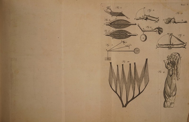 \ <v f \ \ * % Tab : V ■