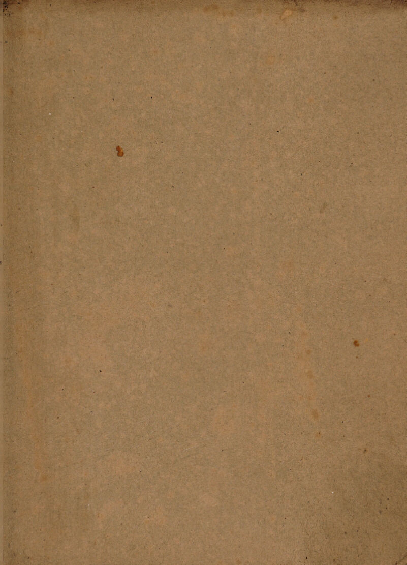 . / ‘ mm / ., s ■■. > ■ ’'■X“