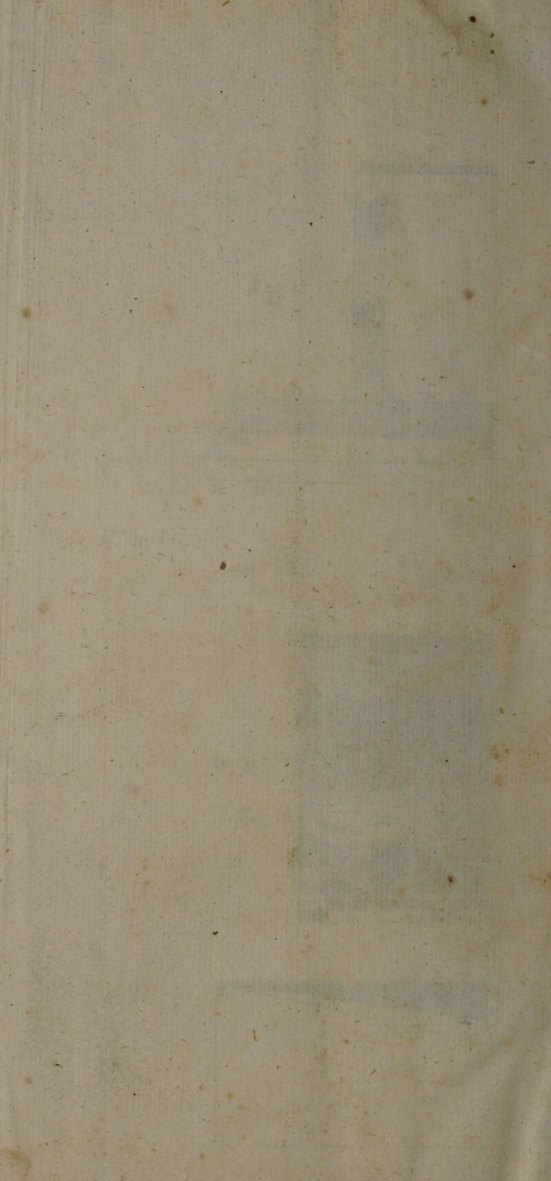 • I » .♦* % ■ l * i » s #