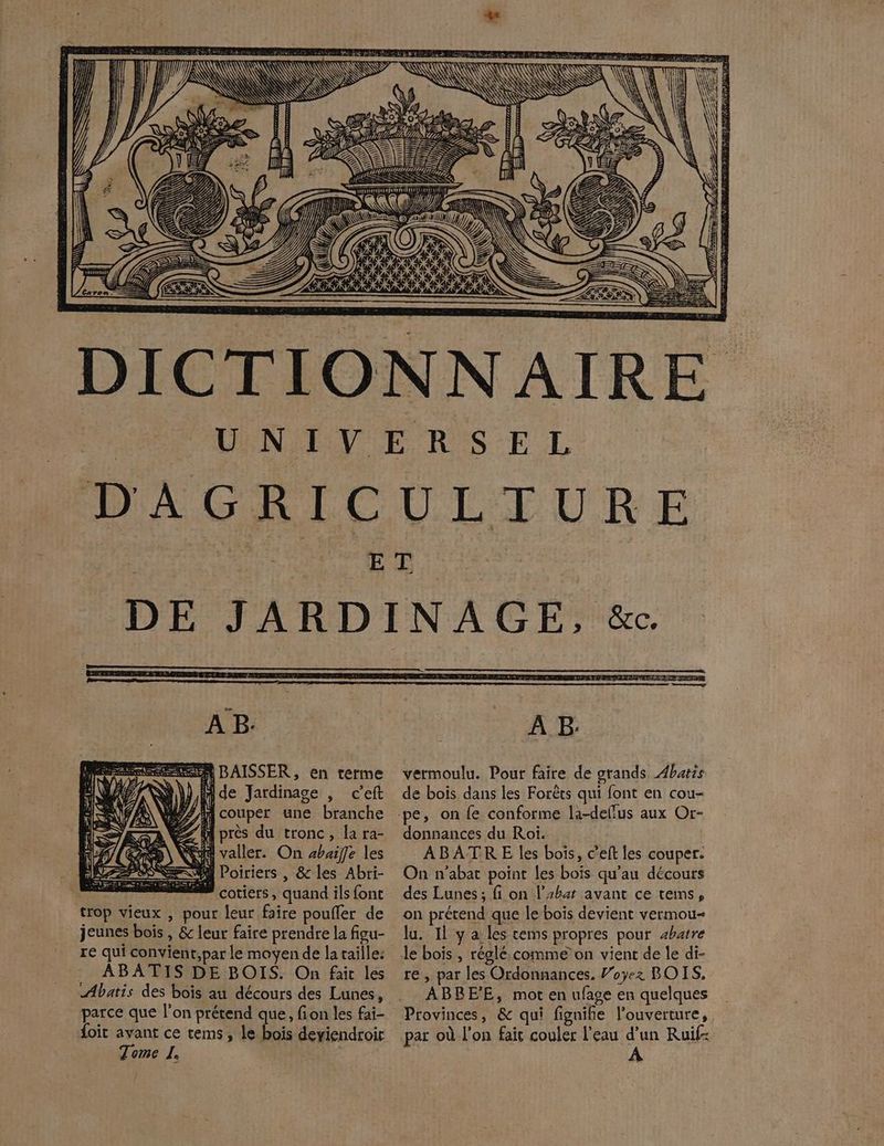 ÿ}2 IR = === = K? Th W// 6 us NE SU LMy7p)\ à Lane £ 2 . i] ; D he. ne AB 1 BAISSER, en terme M de Jardinage , c’eft M couper une branche près du tronc, la ra- valler. On abaiffe les à Poiriers , &amp; les Abri- 7 æ cotiers, quand ils font trop vieux , pour leur faire poufler de jeunes bois , &amp; leur faire prendre la figu- re qui convient,par le moyen de lataille: ABATIS DE BOIS. On fait les AIRES ZT parce que l'on prétend que, fion les fai- foit avant ce tems, le bois deyiendroir Tome I. À B: vermoulu. Pour faire de grands Abatis de bois dans les Forêts qui font en cou- donnances du Roi. é ABATRE les bois, c’eft les couper. On n’abat point les bois qu’au décours des Lunes ; fi on l’#hat avant ce tems, on prétend que le bois devient vermou- lu. Il y a les cems propres pour abatre Je bois , réglé.comme on vient de le di- CA 2 F4 A À 4 SD APN AN TANT CAT à UE ABBEE, mot en ufage en quelques par où l’on fait couler l’eau d’un Ruif- À