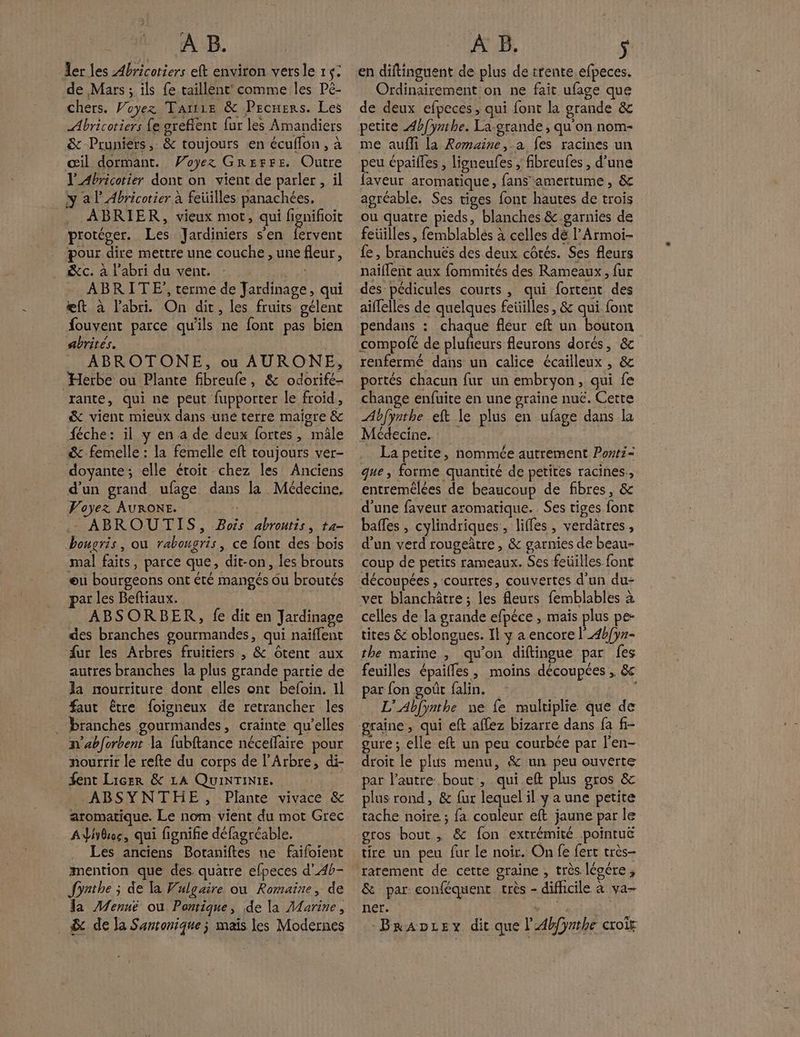 Jer les Abricotiers eft environ versle 15: de Mars; ils fe taillent’ comme les Pé- chers. Voyez Tarte & Prcners. Les Abricotiers fe grefient fur les Amandiers & Pruniers, & toujours en écuflon , à œil dormant. Woyez Grerre. Outre l’Abricotier dont on vient de parler , il y a lAbricotier à feüilles panachées. . ABRIER, vieux mot, qui fignifioit protéger. Les Jardiniers s'en fervent pour dire mettre une couche , une fleur, &c. à l’abri du vent. - ABRITE’, terme de Jardinage, qui æft à l'abri. On dit, les fruits gélent fouvent parce qu'ils ne font pas bien abrités. ABROTONE, ou AURONE, Herbe ou Plante fibreufe, & odorifé- rante, qui ne peut fupporter le froid, & vient mieux dans uné terre maigre & féche: il y en a de deux fortes, mâle & femelle : la femelle eft toujours ver- doyante; elle éroit chez les Anciens d’un grand ufage dans la Médecine, Voyez AURONE. | . ABROUTIS, Bois abrontis, ta- bougris, ou rabougris, ce font des bois mal faits, parce que, dit-on, les brouts @u bourgeons ont été mangés ou broutés par les Beftiaux. ABSORBER, fe dit en Jardinage des branches gourmandes, qui naïflent fur les Arbres fruitiers , & tent aux autres branches la plus grande partie de la nourriture dont elles ont befoin. Il faut être foigneux de retrancher les . branches gourmandes, crainte qu’elles n’abfcrbent la fubftance nécelfaire pour nourrir le refte du corps de l’Arbre, di- fent Licer & LA QUINTINIE, ABSYNTHE, Plante vivace & aromatique. Le nom vient du mot Grec AŸhloe, qui fignihe défagréable. . Les anciens Botaniftes ne faifoient mention que des quatre efpeces d’4b- Jynthe ; de Ta Vulgaire ou Romaine, de la Menné où Pontique, de la Marine, & de la Santonique ; mais les Modernes en diftinguent de plus de trente.efpeces. Ordinairement on ne fait ufage que de deux efpeces , qui font la grande & petite Abfynthe. La-srande , qu'on nom- me aufli la Romaine, a fes racines un peu épaifles , ligneufes ; fibreufes , d’une faveur aromatique, fans'amertume , & agréable. Ses tiges font hautes de trois ou quatre pieds, blanches &.garnies de feüilles, femblablés à celles dé l’Armoi- fe, branchuës des deux côtés. Ses fleurs naiflent aux fommités des Rameaux, fur des: pédicules courts, qui fortent des aiflelles de quelques feüilles, & qui font pendans : chaque fleur eft un bouton compofé de plufeurs fleurons dorés, &c renfermé dans un calice écailleux , & portés chacun fur un embryon, qui fe change enfuite en une graîne nuë. Cette Abfysthe eft le plus en ufage dans la Médecine. .… La petite, nommée autrement Porti- que , forme quantité de petites racines, entremélées de beaucoup de fibres, & d'une faveur aromatique. Ses tiges font baffes , cylindriques , liffes, verdätres, d’un verd rougeâtre , & garnies de beau- coup de petits rameaux. Ses feüilles font vet blanchätre ; les fleurs femblables à celles de la grande efpéce , mais plus pe- tites & oblongues. Il y a encore l'_4b/y#- the marine , qu'on diftingue par fes feuilles épaiffes , moins découpées , & par fon goût falin. L'Abfjynthe ne fe multiplie que de gure ; elle eft un peu courbée par l'en- droit le plus menu, $ un peu ouverte par l’autre bout, qui eft plus gros & plus rond, & fur lequel il y a une petite tache noire ; fa couleur eft jaune par le gros bout , & fon extrémité pointuë tire un peu fur le noir. On fe ferc très- & par: conféquent très - difficile à va- ner. ARRETE ES -BraADLex dit que l’Abfynthe croix
