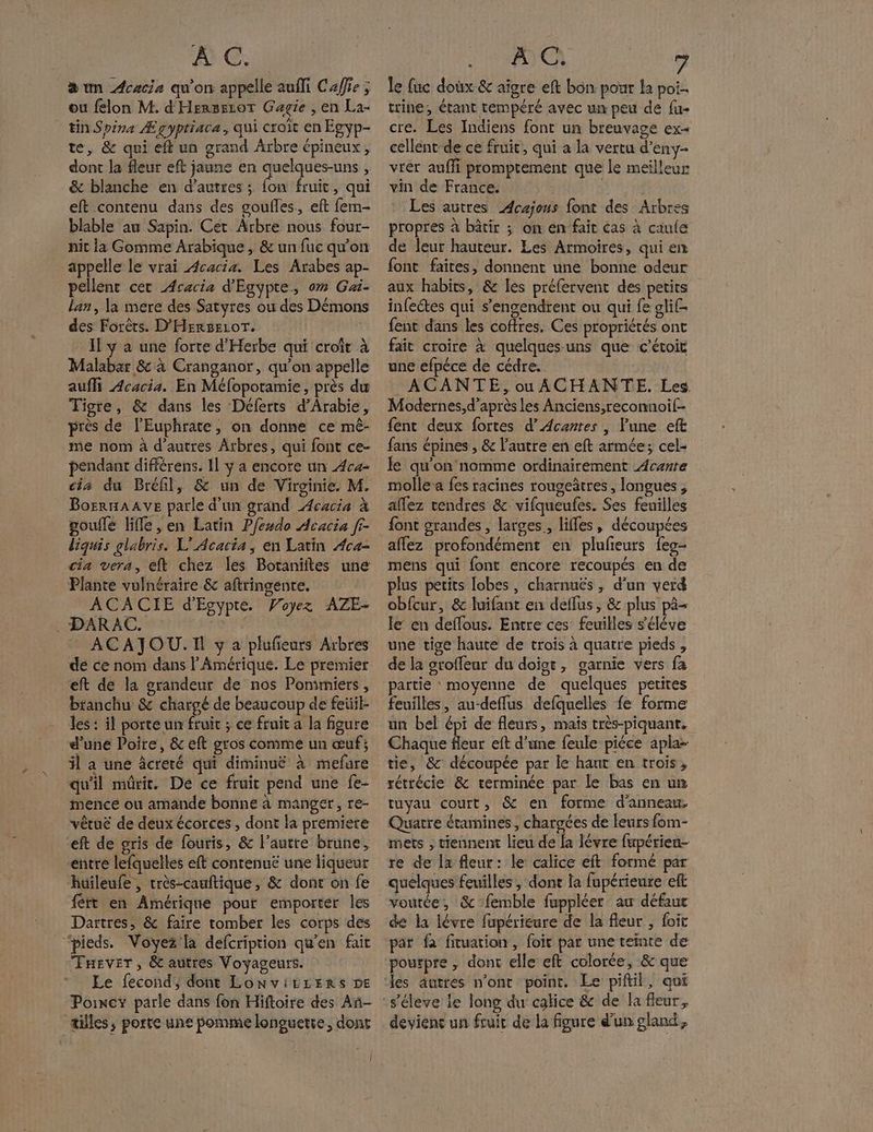 40 € am Acacia qu'on appelle aufli Caffie ; ou felon M. d'Hersszor Gagie , en La- tin Spira Ægypriaca, qui croit en Egyp- te, & qui eft un grand Arbre épineux, dont la fleur eft jaune en quelques-uns , & blanche en d’autres ; fon fruit, qui eft contenu dans des coufles., eft fem blable au Sapin. Cet Arbre nous four- nit la Gomme Arabique, & un fuc qu'on appelle le vrai Acacia. Les Arabes ap- pellent cet Acacia d'Egypte, om Gai- lan, la mere des Satyres ou des Démons des Forêts. D'HERSELOoT. Il y a une forte d'Herbe qui croît à Malabar 8 à Cranganor, qu'on appelle auffi Acacia. En Méfopotamie, près du Tigre, & dans les Déferts d'Arabie, près de l'Euphrate, on donne ce mê- me nom à d'autres Arbres, qui font ce- pendant différens. Il y a encore un Ace cis du Bréfil, & un de Virginie. M. BorrxAAve parle d’un grand Acacia à gouilé liffe , en Latin Pfévdo Acacia fr- diquis glabris. L' Acacia, en Latin Aca- cia vera, eft chez les Botaniftes une Plante vulnéraire & aftringente. ACACIE d'Egypte. Woyez AZE- . DARAC. AE * ACAJOU.I y a plufeurs Arbres de ce nom dans l'Amérique. Le premier eft de la grandeur de nos Ponimiers , branchu & chargé de beaucoup de feüil- les : il porte un fruit ; ce fruit a la figure d’une Poire, & eft gros comme un œuf; il a une âcreté qui diminuë à mefure qu'il mûrit. De ce fruit pend une fe- mence ou amande bonne à manger, re- vêtuë de deux écorces , dont la premiere eft de gris de fouris, & l’autre brune, entre lefquelles eft contenuë une liqueur huileufe, très-cauftique, & dont on fe fétt en Amérique pour emporter les Dartres, & faire tomber les corps des ‘pieds. Voyez la defcription qu’en fair FHEVET , &t autres Voyageurs. Le fecond, dont Lonvitrens DE | tilles; porte une pomme longuette, dont AC A) le fuc doux & aïgre eft bon pour la poi-. trine, étant tempéré avec un peu de fu- cre. Les Indiens font un breuvage ex« cellént-de ce fruit, qui a la vertu d’eny- vrer aufli promptement que le meilleur vin de France. | Les autres Acajous font des Arbres propres à bâtir ; on en fait cas à caule de leur hauteur. Les Armoires, qui en font faites, donnent une bonne odeur aux habits, & les préfervent des petits infeétes qui s’engendrent ou qui fe glif- fent dans les coffres. Ces propriétés ont fait croire à quelques-uns que c’étoit une efpéce de cédre. ACANTE, ou ACHANTE. Les. Modernes,d’après les Anciens,reconnoil- fent deux fortes d’Acartes , lune eft fans épines , & l'autre en eft armée; cel- le qu'on'nomme ordinairement Acante molle a fes racines rougeâtres , longues ; aflez tendres & vifqueufes. Ses feuilles font grandes , larges. liffes , découpées affez profondément en plufeurs fes- mens qui font encore recoupés en de plus petits lobes, charnuës , d'un verd obfcur, & luifant en deffus, & plus pà- le en deflous. Entre ces feuilles séléve une tige haute de trois à quatre pieds , de la groffeur du doigt, garnie vers fa partie moyenne de quelques petites feuilles, au-deflus defquelles fe forme un bel épi de fleurs, mais très-piquanr. Chaque fleur eft d’une feule piéce apla- tie, & découpée par le haut en trois, rétrécie & terminée par le bas en un tuyau court, & en forme d'anneau, Quatre étamines, chargées de leurs fom- mets , tiennent lieu de {a lévre fupérien- re de la fleur: le calice eft formé par quelques feuilles, dont la fupérieure eft voutée, & femble fuppléer au défaur de la lévre fupérieure de la fleur , foit par f fituation, foir par une teinte de pourpre ; dont elle eft colorée, & que devient un fruit de la figure d’un gland,