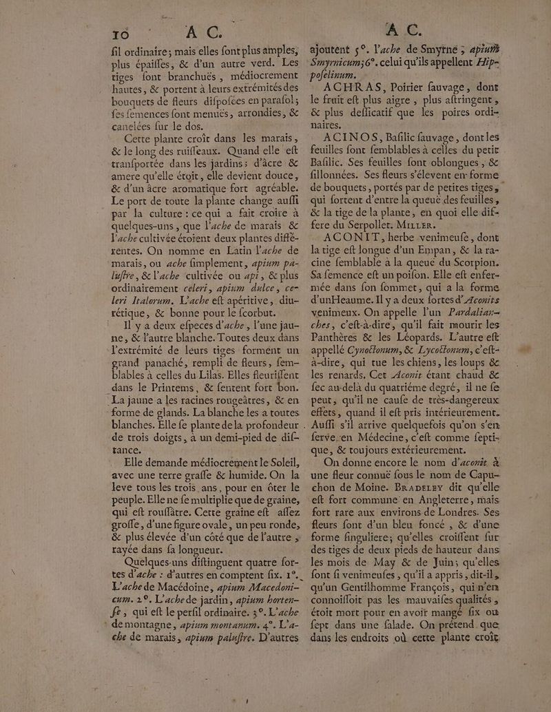 oO TO Ad: fil ordinaire; mais elles font plus amples, plus épaiffes, &amp; d’un autre verd. Les tiges font branchuës , médiocrement hautes, &amp; portent à leurs extrémités des bouquets de fleurs difpofces en parafol; fes femences font menués, arrondies, &amp; canelces {ur le dos. Cette plante croît dans Îles marais, &amp; le long des ruiffeaux. Quand elle eft tranfportée dans les jardins: d'âcre &amp; amere qu’elle éroit, elle devient douce, &amp; d’un âcre aromatique fort agréable. Le port de toute la plante change auffi par la culture : ce qui a fair croire à quelques-uns , que lache de marais &amp; lache cultivée étoient deux plantes difté- rentes. On nomme en Latin lache de marais, ou ache fimplement, apiwm pa- luffre, &amp; l'ache cultivée ou apr, &amp; plus ordinairement celeri, apium dulce, ce- leri Italorum. L'ache eft apéritive,. diu- rétique, &amp; bonne pour le fcorbut. ne, &amp; l'autre blanche. Toutes deux dans l'extrémité de leurs tiges formént un grand panaché, rempli de fleurs, fem- blables à celles du Lilas. Elles fleuriffent _dans le Printems, &amp; fentent fort bon. La jaune a les racines rougeâtres, &amp; en forme de glands. La blanche les a toutes de trois doigts, à un demi-pied de dif- tance. Elle demande médiocrement le Soleil, avec une terre grafle &amp; humide. On la leve tous les trois ans, pour en ôter le peuple. Elle ne fe multiplie que de graine, qui eft rouffâtre. Cette graïne eft aflez groffe, d’une figure ovale, un peu ronde, &amp; plus élevée d’un coté que de l'autre ; rayée dans {a longueur. Quelques-uns diftinguent quatre for- L'ache de Macédoine, apium Macedoni- cum. 1°, L'achede jardin, apium horten- fe, qui eft le perfil ordinaire. 3°. L’ache de montagne, apium montanum. 4°. L'a- che de marais, apium paluffre. D'autres à €. ajoutent 5°. l’ache de Smyïné ; ap: ofelinum. ACHR AS, Poirier fauvage, dont &amp; plus deflicatif que les poires ordi- naires. ACINOS, Bafilic fauvage, dontles feuilles font femblables à celles du petit Bafñlic. Ses feuilles font oblongues ; &amp; fillonnées. Ses fleurs s’élevent en: forme de bouquets, portés par de petites tiges qui fortent d’entre la queuë des feuilles , &amp; la tige de la plante, en quoi elle dif- fere du Serpollet. Mizrer. ACONIT , herbe venimeufe, dont la tige eft longue d’un Empan, &amp;c la ra- cine femblable à la queue du Scorpion. Sa femence eft un poifon. Elle eft enfer- mée dans fon fommet, qui a la forme d’unHeaume. Il y a deux fortes d’ Acexits venimeux. On appelle l’un Pardaliar- ches, c'eft-à-dire, qu'il fait mourir les Panthères &amp; les Léopards. L'autre eft appellé Cyroétonum, &amp; Lycoëtonum, c'eft- a-dire, qui tue les chiens, les loups &amp; les renards, Cet Aconir étant chaud &amp; fec au-delà du quatriéme degré, il ne fe peut, qu'il ne caufe de très-dangereux effets, quand il eft pris intérieurement. Aufli s’il arrive quelquefois qu’on s'en ferve en Médecine, c'eft comme fepti: que, &amp; toujours extérieurement. On donne encore le nom d’aconit à une fleur connue fous le nom de Capu- chon de Moïne. Braperey dit qu'elle eft fort commune: en Angleterre, mais fort rare aux environs de Londres. Ses fleurs font d’un bleu foncé , &amp; d’une forme finguliere; qu’elles croiffent fur des tiges de deux pieds de hauteur dans les mois de May &amp; de Juin; qu'elles font fi venimeufes , qu’il a appris, dit-il, qu'un Gentilhomme François, quiwen connoifloit pas les mauvaifes qualités , étoit mort pour en avoir mangé fix où fept dans une falade. On prétend que dans les endroits où cette plante croit,