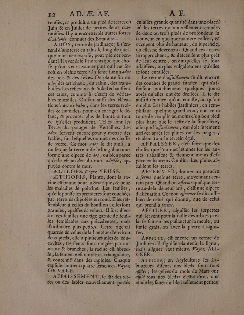 touffes, &amp; produit à un pied detetre, en Juin &amp; en Juillet de petites fleurs cra- moifies. Il y a encore trois autres fortes d’Adonis connuës des Botaniites. ADOS, terme de jardinage; il s’en- tend d’uneterre en talus le long de quel- que mur bien expofé, pour y fémer pen- dant l'Hyver &amp; le Prinrems quelque cho- fe qu'on veut avancer plus quil ne fe- roit en pleine terre. On feme fur un ados des pois &amp; des fêves. On plante fur un ados des artichaux , du raifin, des fram- boiles. Les réflexions du Soleil échauffent ces talus, comme fi c’étoit de vérita- bles murailles. On fait aufli des éléva- tions à dos de bahu , dans les terres froi- des &amp; humides, pour en corriger le dé- faut, &amp; procurer plus de bonté à tout ce qu'elles produifent. Telles font les Terres du potager de Verfailles. Les ados fervent encore pour. y mettre des fraifes, fur lefquelles on met des chaflis caufe que la terre mife le long d’un mur forme une efpece de dos , ou bien parce qu'elle eft au dos du mur adoffée, ap- puyée contre le mur. Æ GI LOPS. Voyez YEUSE. ÆTHIOPIS, Plante, dont la ra- cine eft bonne pour la Sciatique, &amp; pour les maladies de poitrine. Les feuilles, qu’elle poulfe les premieres font couchées femblent à celles du bouillon ; elles font grandes , épaifles &amp; veluës. Il fort d’en- tre ces feuilles une tige garnie de feuil- les femblables aux précédentes, mais d'ordinaire plus petites. Cette tige eft quarrée &amp; veluë dela hauteur d'environ deux pieds; elle a plufieurs ailes &amp; con- cavités , fes fleurs font rangées par an- neaux &amp; branches; fa racine eft fibreu- fe , fa femenceeft noirâtre, triangulaire, &amp; contenu€ dans des capfules. Chaque capfule contient quatre ie Voyez OR VALE. ; AFFAISSEMENT, fe dit des ter- res ou des fables nouvellement portés en affez grande quantité dans une placé; où des terres qui nouvellement remuées de deux ou trois pieds de profondeur fe trouvent en quelque maniere enflées, &amp;è occupent plus de hauteur , de fuperficie, qu'elles ne devroient. Quand ces terres {e rapprochent , &amp; defcendent plus près de leur centre, on dit qu’elles fe bts dffaiffées , ou plus vulgairement qu'elles fe font entaflées. Le terme d’afaiffement fe dit encore des couches de grand fumier, qui s’af- faillent notablement quelques jours après qu’elles ont été dreflées. Il fe dit auffi du fumier qu’on entafle, ou qu’on empile. Les habiles Jardiniers , en rem pliffant quelque grand trou, ont cou= tume de remplir au moins d’un bon pied plus haut que le refte de la fuperficie, afin que l'affaifement , qui doit furement arriver après les pluies ou les neïges , rendent tout le terrein égal. | AFFAISSER, c’eft faire que des chofes que l’on met lés unes fur les au- tres s’abaiflent &amp; tiennent moins d’el- pace en hauteur. On dit : Les pluies af= faiflent les terrés. AFFERMER, donner ou prendre à ferme quelque terre, moyennant cer- tain prix. Quand on afferme quelque ter- : re au-delà de neuf ans, c’eft une efpece d’aliénation.Ce mot 4fermer fe ditaufli- bien de celui qui donne, que de celui qui prend a ferme. AFFILER, aiguifer les ferpettes qui fervent pour la taille des arbres ; ce- la fe fair en les paffant fur la meule , où furle graïs, ou avec la pierre à aigui- fer. AFFILER, eft encore un terme de Jardinier. Il fignifie planter à la ligne 3 GNER. Arriczer; en Agriculture Îes La boureurs difent, nos bleds font tous affilés ; les gelées du mois de Mars ont affilé tous nos bleds; c’eft-à-dire, ont rendules fanes du bled rellemenr petites