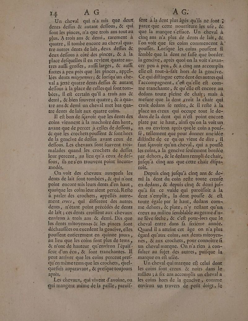 . Un cheval qui n’a mis que deux dents deflus & autant deffous, & qui font les pinces, n’a que trois ans tout au plus. À trois ans & demi, rarement à quatre , il tombe encore au cheval qua- tre autres dents de lait, deux deflus & deux delous à coté des pinces, & à la place defquelles il en revient quatre au- tres aufi-grofles, aufli larges, & aufli fortes à peu près que les pinces, appel- les dents witoyennes ; & lorfqu'un che- val a jetté quatre dents deffus & autant deffous à la place de celles qui fonttom- bées, il eft certain qu'il a trois ans & demi, &.bien fouvent quatre; & à qua- tre ans & demi un cheval met bas qua- tre dents de lait aux quatre coins. Il eft bon de fçavoir que les dents des coins viennent à la machoire den haut, \ & que les crochets pouffent & font hors de la gencive de deffus avant ceux de effous. Les chevaux font fauvent très- leur percent, au lieu qu’à ceux de def- modés, On voit des chevaux auxquels les dents de lait font tombées, & qui n’ont point encore mis leurs dents d'en haut, quoique les coins leur aient percé. Refte à parler des crochets, appellés autre ment crocs, qui different des autres dents, n'étant point précédés de dents de lait ; ces dents croiflent aux chevaux environ à trois ans & demi. Dès que les dents mitoyennes & les pinces font pouffent entierement en quinze jours, au lieu que les coins font plus de tems, & n’ont de hauteur qu'environ lépaif- feur d’un écu, & font tranchantes. Il peut arriver que les coins percent pref- qu'en même tems que les crochets, quel- quefois auparavant , & prefque toujours après: Les chevaux, qui vivent d’avoine, ou PS > QU M > qui mangent même de la paille, paroif- fent à la dent plus âgés qu'ils ne font à parce que cette nourriture les ufe, &. que la marque s’efface. Un cheval à cinq ans n'a plus de dents de lait, &, l'on voit que fes coins commencent à poufler. Lorfque les coins pouflent il femble que la dent ne fañfe que border la gencive, après quoi on la voit s’avan- cer peu à peu, & à cinq ans accomplis elleeft tout-à-fait hors de la gencive. Ce qui diftingue cette dent desautres qui l’accompagnent, c’eft qu’elle eft com- me tranchante, & qu'elle eft encore au dedans toute pleine de chair; mais à mefure que la dent croît la chair qui croît dedans fe retire, & il refte à la place un creux qui occupe tout le de- plate par le haut, ainfi qu’on la voitun an ou environ après quéle coin a pouf- {é , tellement que pour donner uneidée diftinte de ce qu'on vient de dire , ül faut fçavoir qu'un cheval, qui a pouflé les coins, a la gencive feulement bordée par dehors , & le dedans rempli de chair, jufqu'à cinq ans que cette chair difpa- foit, Depuis cinq jufqu’à cinq ans & de= mi la dent du coin refte toute creufe en dedans, & depuis cinq & demi juf- qu'à fix ce vuide qui paroïfloit à la toute égale par le haut, dedans com me dehors, & plate, n’y reftant qu'un creux au milieu femblable au germe d’u- ne féve feche, & c’eft pour-lers que le cheval entre dans fa fixiéme année. Quand il a atteint cet âge on n'a plus égard qu'aux coins, aux dents mitoyen- nes,. & aux crochets, pour connoître fi un cheval marque. On n’a rien à con- fulter au fujet des autres, puifque la marque en eft ufée. Un cheval qui marque eft celui dont les coins font creux & noirs dans le. milieu ; à fix ans accomplis un cheval a les coins hors de la gencive, comme