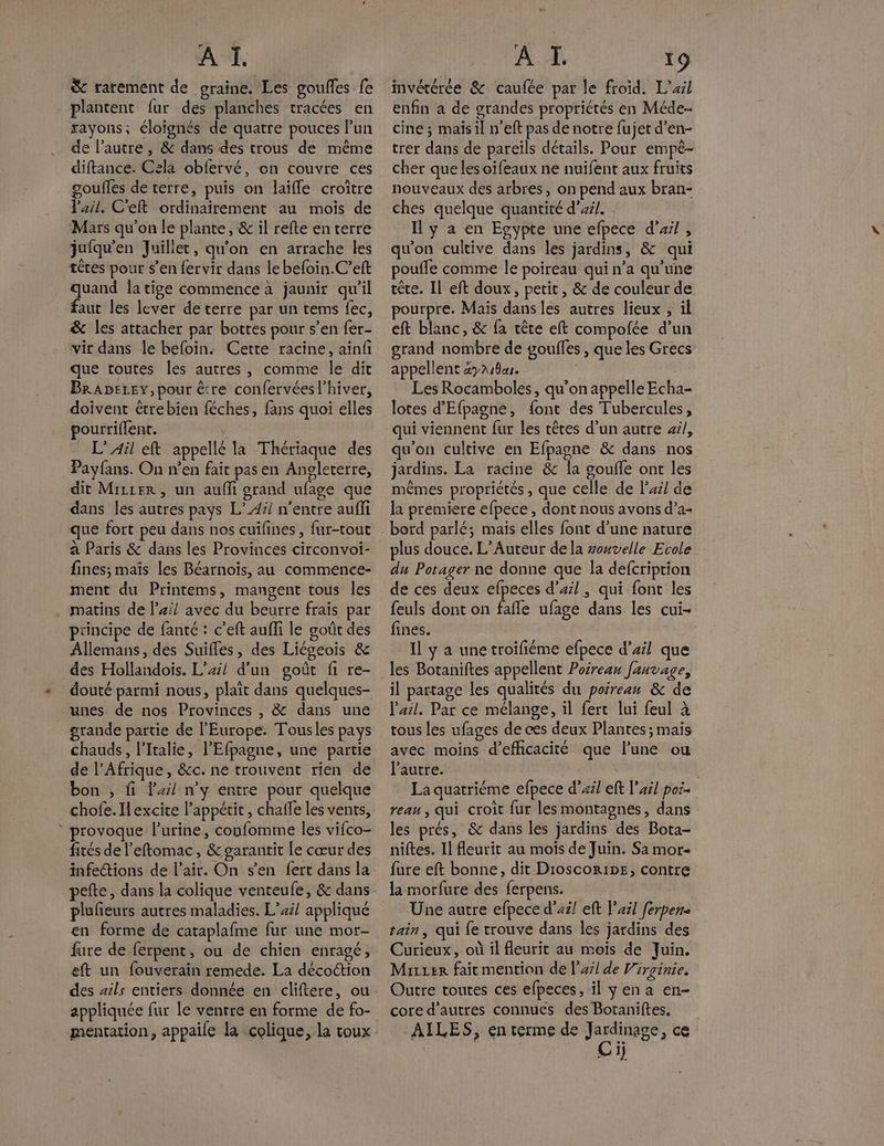 & rarement de graine. Les goufles fe plantent fur des planches tracées en rayons; éloignés de quatre pouces l’un de l’autre , & dans des trous de même diftance. Cela obfervé, on couvre ces gouffes de terre, puis on laïfle croître l'ail. C'éft ordinairement au mois de Mars qu'on le plante, & il refte en terre jufqu'en Juillet, qu'on en arrache les têtes pour s’en fervir dans le befoin.C’eft quand la tige commence à jaunir qu'il faut les lever de terre par un tems fec, & les attacher par bottes pour s’en fer- vir dans le befoin. Cetre racine, ainfi que toutes les autres, comme le dit BrADELEy, pour être confervéesl’hiver, doivent étrebien féches, fans quoi elles pourrillent. ; L’Ail eft appellé la Thériaque des Payfans. On n’en fait pas en Angleterre, dit Mirrer, un aufli grand ufage que dans les autres pays L’_4il n'entre auffi que fort peu dans nos cuifines , fur-tout à Paris & dans les Provinces circonvoi- fines; mais les Béarnoiïs, au commence- ment du Printems, mangent tous les matins de lz;/ avec du beurre frais par principe de fanté : c’eft aufli le goût des Allemans, des Suifles, des Liégeois & des Hollandois. L’4/ d'un goût fi re- douté parmi nous, plait dans quelques- unes de nos Provinces , & dans une grande partie de l'Europe: Tousles pays chauds, l'Italie, l'Efpagne, une partie de l'Afrique, &c. ne trouvent rien de bon , fi lai/ n’y entre pour quelque chofe. Il excite l'appétit, chaffe les vents, * provoque l'urine, confomme les vifco- fités de l’eftomac, & garantit Le cœur des infections de l'air. On s'en fert dans la _pefte, dans la colique venteufe, & dans plufeurs autres maladies. L’44/ appliqué en forme de cataplafme fur une mor- fure de ferpent, ou de chien enragé, eft un fouverain remede. La décoction des #1ls entiers donnée en cliftere, ou appliquée fur le ventre en forme de fo- mentation, appaile la colique, la toux invétérée & caufée par le froid. L’xil enfin à de grandes propriétés en Méde- cine ; maïs il n’eft pas de notre fujet d’en- trer dans de pareils détails. Pour empê- cher que les oifeaux ne nuifent aux fruits nouveaux des arbres, on pend aux bran- ches quelque quantité d’#/. Il y a en Egypte une efpece d'ail , qu'on cultive dans les jardins, & qui pouffe comme le poireau qui n’a qu'une tête. Il eft doux, petit, & de couleur de urpre. Mais dans les autres lieux ; il eft blanc, & fa tête eft compofée d’un grand nombre de goulles , que les Grecs appellent 4718. Les Rocamboles, qu'on appelle Echa- lotes d'Efpagne, font des Tubercules, qui viennent fur les rêtes d’un autre #7/, qu'on cultive en Efpagne & dans nos jardins. La racine & la goufle ont les mêmes propriétés , que celle de l'xil de la premiere efpece , dont nous avons d’a- plus douce. L’Auteur de la ouvelle Ecole du Porager ne donne que la defcription de ces deux efpeces d’4//, qui font les feuls dont on fafle ufage dans les cui- fines. Il y a unetroifiéme efpece d’xil que les Botaniftes appellent Poirea fauvage, il partage les qualités du poireau & de l'arl. Par ce mélange, il ferc lui feul à tous les ufages de ces deux Plantes ; mais avec moins d'efficacité que l’une ou l’autre. La quatriéme efpece d'ail eft l’ail poi- reau, qui croit fur les montagnes, dans les prés, &c dans les jardins des Bota- niftes. Il fleurit au moîïs de Juin. Sa mor- fure eft bonne, dit Dioscoripe, contre la morfure des ferpens. Une autre efpece d'xz/ eft l’a! ferpen. tain, qui fe trouve dans les jardins des Curieux, où il fleurit au mois de Juin. Mure fait mention de l’a de Virginie. Outre toutes ces efpeces, il yena en- core d’autres connues des Botaniftes. AILES, en terme de rot ce VI}