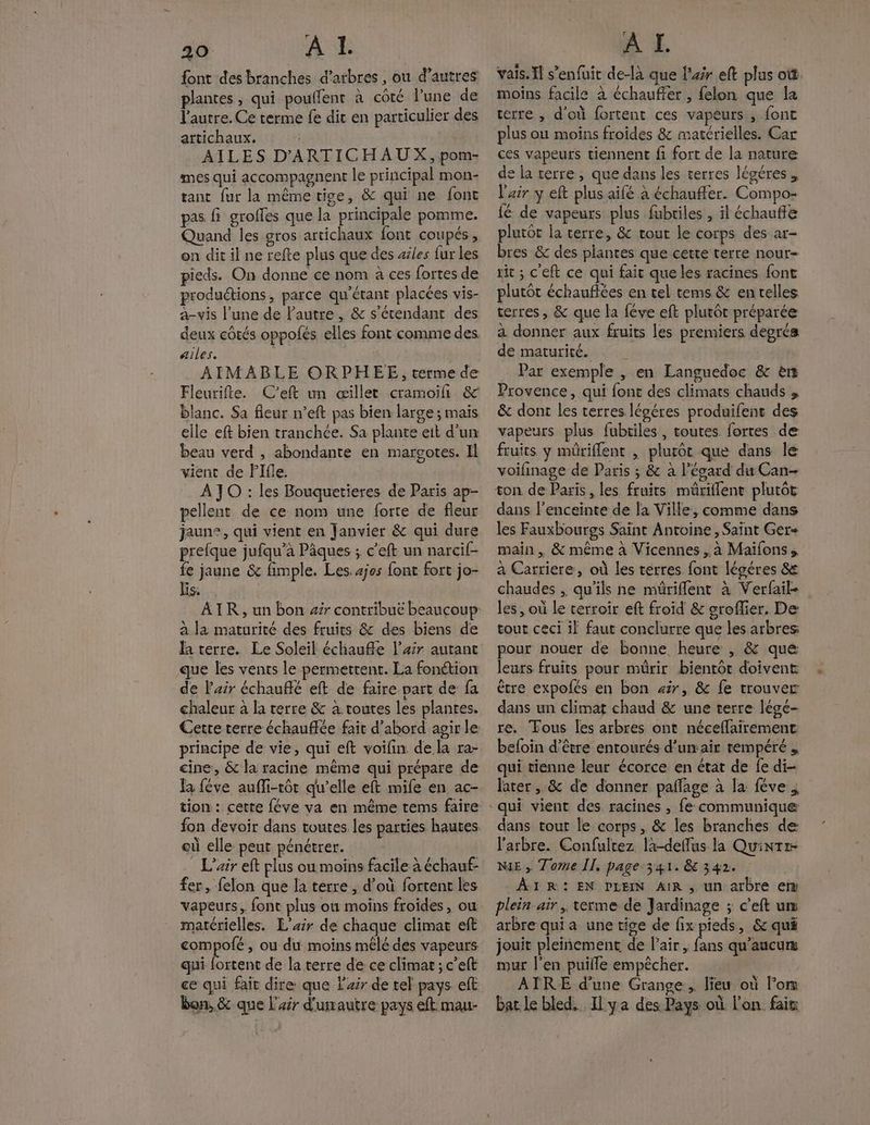 si A 1. font des branches d'arbres , ou d’autres plantes, qui pouffenr à côté l’une de l'autre. Ce terme fe dir en particulier des artichaux. AILES D'ARTICHAUX, pom- mes qui accompagnent le principal mon- tant fur la même tige, & qui ne font pas fi grofles que la principale pomme. Quand les gros artichaux font coupés, on dit il ne refte plus que des ailes fur Les pieds. On donne ce nom à ces fortes de productions, parce qu'étant placées vis- à-vis l’une de l'autre, & s'étendant des deux côtés oppofés elles font comme des Ailes. | ; AIMABLE ORPHEE, terme de Fleurifte. C'eft un œillet cramoif & blanc. Sa fleur n’eft pas bien large ; maïs elle eft bien tranchée. Sa plante ett d’un beau verd , abondante en margotes. Il vient de Flfle. À JO : les Bouquetieres de Paris ap- pellent de ce nom une forte de fleur jaune, qui vient en Janvier & qui dure prelque jufqu’à Pâques ; c’eft un narcif- fe jaune & fimple. Les. 4jos font fort jo- à la maturité des fruits & des biens de Ïa terre. Le Soleil échauffe l’xir autant que les vents le permettent. La fonction de l'air échauflé eft de faire part de fa chaleur à la terre & à toutes les plantes. Cette terre échauffée fait d’abord agir le principe de vie, qui eft voifin de la ra- cine, & la racine même qui prépare de la féve auffi-tôt qu’elle eft mife en ac- où elle peut pénétrer. : L'air eft plus ou moins facile à échauf- fer, felon que la terre , d’où fortent les vapeurs, font plus où moins froides , où matérielles. L'xir de chaque climat eft compofé, ou du moins mêlé des vapeurs qui fortent de la terre de ce climat; c’eft ce qui fait dire que l'air de tel pays eft bon, & que l'air d'umautre pays eft mau- À I. vais. Il s’enfuit de-là que l'air eft plus oùt. moins facile à échauffer , felon que la terre , d'où fortent ces vapeurs , fonc plus ou moins froides 8 matérielles. Car ces vapeurs tiennent fi fort de la nature de la terre, que dans les terres légéres , l'air y eft plus aifé à échauffer. Compo- fé de vapeurs plus fabriles , il échaufle plutot la terre, & tout le corps des ar- bres & des plantes que cette terre nour- rit ; c'eft ce qui fait que les racines font plutot échaufiées en tel tems & entelles terres, & que la féve eft plutôt préparée a donner aux fruits les premiers degrés de maturité. : Par exemple , en Languedoc & ès Provence, qui font des climats chauds 4 & dont les terres légéres produifent des vapeurs plus fubriles, toutes fortes de fruits y müriflent , plutôt que dans le voifinage de Paris ; & à l'égard du Can- ton de Paris , les fruits müriflent plutôt dans l’enceinte de la Ville, comme dans les Fauxbourgs Saint Antoine, Saint Ger+ main , & même à Vicennes , à Maïfons, à Carriere, où les terres font légéres & chaudes , qu'ils ne mériflent à Verfail- les, où le terroir eft froid & sroflier. De tout ceci il faut conclurre que les arbres: pour nouer de bonne heure , & que leurs fruits pour mürir bientôt doivent être expolés en bon #7, & fe trouver dans un climat chaud & une terre lége- re. Tous Îles arbres ont néceflairement beloin d’être entourés d’umair tempéré qui tienne leur écorce en état de fe di- later , & de donner pañage à la féve dans tout le corps, & les branches de l'arbre. Confultez là-deffus la Quintr- NE , Tome II, page 341. & 342. ÀÂIR: EN PLEIN AIR, un arbre em plein air. terme de Jardinage ; c’eft un arbre qui a une tige de fix pieds, & qui jouit pleinement de Pair, pi qu'aucun mur l'en puille empêcher. AIRE d’une Grange, lieu où l'on bar le bled. Il ya des Pays où l'on fait