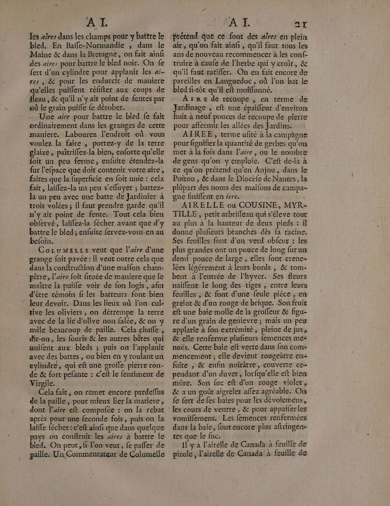 ù AE Les aires dans les champs pour y battre fe bled, En Baffe-Normandie , dans le Maine & dans la Bretagne, on fait ainfi dés aires pour battre le bled noir. On fe ferc d’un cylindre pour applanir les 4:- res , & pour les endurcir de maniere qu'elles puiffent réfifter aux coups de fleau , & qu’il n’y aît point de fentes par où le grain puifle fe dérober. Une aire pour battre Le bled fe fait ordinairement dans les granges de cetre maniere. Labourez l'endroit où vous voulez la faire , portez-y de la terre glaize, pañtriffez-la bien, enforte qu’elle loit un peu ferme, enfuite étendez-la fur l'efpace que doit contenir votre aire, faites que la fuperficie en foit unie : cela fait, laiflez-la un peu s’efluyer ; battez- Ja un peu avec une batte de Jardinier à trois volées ; il faut prendre garde qu'il n’y ait point de fente. Tout cela bien obfervé, laillez-la fécher avant que d'y battre le bled ; enfuite fervez-vous-en au befoin. CozumMELLe veut que l'aire d’une grange foit pavée : il veut outre cela que dans la conftruction d’une maïfon cham- père, l'aire foit fituée de maniere que le maître la puifle voir de fon logis , afin d'être témoin files batreurs font bien leur devoir. Dans les lieux où l’on cul- tive les oliviers ; on détrempe la terre avec de la lie d'olive non falée, & on mêle beaucoup de paille. Cela chafñfe , dit-on, les fouris & les autres bêtes qui - auifentr aux bleds ; puis on l'applanic avec des battes , ou bien en y roulantun eylindre, qui eft une aroffe pierre ron- de & fort pefante : c’eft le fentiment de Virgile: eu S Cela fait, on remet encore pardefflus de la paille, pour mieux lier la matiere, dont l'aire eft compofée : on [a rebat après der une feconde fois, puis on la laiffe fécher: c’eft ainfi que dans quelque pays on conftruit les zres à battre le AA Æ DE « prétènd qué ce font dés aires en plein air, qu'on fait ainfi, qu'il faut vous les ans de nouveau recommencer à les conf- truire à caufe de l'herbe qui y croît, & qu'il faut ratifler. On en fait encore de pareilles en Languedoc ; où l’on bat le bled fi-tôt qu’il eft moïflonné. A 1RE dé recoupe , en terme de Jardinage , eft une épaiffeur d'environ huit à neuf pouces de recoupe de pierre pour aflermir les allées des Jardins. -AIREE, terme ufité à la campagne pour fignifier la quantité de gerbes qu'on met à la fois dans l’zire , ou le nombre ce qu'on prétend qu'en Anjou, dans le Poitou , & dans le Diocèfe de Nantes, l& plüpart des noms des maifons de campa- gue finiflent en zere.- AIRELLE ou COUSINE, MYR- TILLE , petit arbrilleau qui s’éleve cout au plus à la hauteur de deux pieds : if donné plufieurs branches dès fa racine. Ses feuilles font d’un verd obfcur : les plus grandes ont un pouce de long furum demi pouce de large , elles font crene- lées lésérement à leurs bords ; & rom- bent à l'entrée de l’hyver. Ses fleurs naiflent le long des tiges , entre leurs feuilles , & font d'une feule pièce , en grelot & d’un rouge de brique. Son fruit eft une baie molle de la grofleur & fieu- re d'un grain de genievre; mais un peu: applatie à fon extrémité , pleine de jus, & elle renferme plufieurs femences mes nuës. Cette baie eft verte dans {on com: mencement ; elle devient rougeitre en fuite , & enfin noïirâtre, couverte ce= pendant d’un duvet, lorfqu’elle eft bien: mûre. Son fuc éft d’un rouge violer, & a un goût aigreler allez agréable. On fe ferr dé fes baies pout les dévoieméns, les cours de ventre, & pour appaifer les vomillemens. Les femences renfermées dans la baie, font encore plus aftringens tes que le fuc. | Il ya Pairelle de Canada à feuille de’ pirole, l'airelle de Canada à feuille de