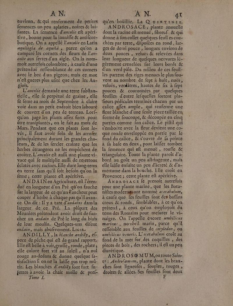 environ, & qui renferment de petites femences un peu aplaties , noires & lui- fantes. La femence d’arcolie eft apéri- tive, bonne pour la jauniffe & antifcor- butique. On a appellé l’arcolie en Latin aquilegia de aquila ; parce qu'on a compare les cornets des fleurs de l’er- colie aux ferres d’un aigle. On la nom- moit autrefois colombine, à caufe d’une prérenduë reffemblance de ces cornets avec le bec d'un pigeon; mais ce mot n'eft gueres plus ufiré que chez les An- glois. L L'ancolie demande une terre fubftan- tielle, elle {e perpétue de graine , elle fe feme au mois de Septembre à, claire voie dans un petit endroit bien labouré & couvert d'un peu de terreau. Lorf- qu'on juge les plants affez forts pour être tranfplantés, on le fait au mois de «Mars. Pendant que ces plants font le- vés , il faut avoir foin de les arrofer rincipalement durant les grandes cha- Leurs 8e de les fercler craînre que les : herbes étrangeres ne les empêchent de croître. L'escolie eft auffi une plante vi- vace qui {e multiplie auffi de rejettons éclatés avec racines. Elle dure long-tems en terre fans qu’il foit beloin qu'on la feme; cette plante eft apéritive. ANDAINen Agriculture, eft l’éten- _ duë en longueur d'un Pré qü'on fauche _ fur la largeur de ce qu'un Faucheur peut couper d'herbe à chaque pas qu'ilavan- ce. On dit : Il y a tant d’andains dansla largeur. de ce. Pré. La plüpart des Meuniers prétendent avoir droit de fau- cher un ardain de Pré le long du biais de leur moulin. Quelques-uns difent ondain, mais abufñvernent. Licer. ANDILLY, la blanche andilly, ef- pece de pêche qui eft de grand rapport. Elle eft belle à voir,groffe, ronde, plate; elle colore fort vif au foleil , n'a nul rouge au-dedans & donne quelque fa- tisfaétion fi on né la laiffe pas trop mû- rir. Les blanches d’ardilly font fort fu- Tome L. 4 | qu'en ‘boüillie. La Q'uirnTtTinre. ANDROSACE, plante annuelle dont la racine eft menuë£ , fibreuf_ & qui donne à fon collet quelques feuil es cou- chées par terre, difpofées en rond, lar- ges de demi pouce ; longues environ de deux pouces , veluës & relevées dans leur longueur de quelques nervures 1é-- gérement crenelées fur leurs bords & d'un verd pâle. Du milieu de ces feuil les partent des tiges menues le plus fou- vent au nombre de fept à huit, nuës, veluës, verdâtres, hautes de fix à fept pouces &c couronnées par quelques feuilles d’entre lefquelles fortent plu- fieurs pédicules terminés chacun par un calice affez ample, qui renferme une fleur blanche d’une feule piece taillée en forme de foucoupe, & découpée en cinq parties comme lon calice. Le piftil qui s'embotte avec la fleur devient une co- ue ronde enveloppée en partie par le int du calice, & s'ouvre de fa pointe à fà bafe en deux, pour laïfler tomber la femence qui eft menuë , roufle & triangulaire. Toute la plante paroït d’a- bord au goût un peu aftringente, mais elle laifle enfuire un peu d’âcreté & d’a- mertume dans la bouche. Elle croït en Provence ; cette plante eft apéricive. ANprosACE fe prenoit autrefois pour une plante marine, que les Bota- niftes modernesont nommé acerabulum, à caufe que fes feuilles font des baffins creux & ronds, femblables, à ce qu'on prétend, à ceux qu'on employoit du tems des Romains pour mefurer le vi- naigre. On l'appelle encore wmbilicus marinas , nombril marin, parce qu'il reffemble aux feuilles de cotyledon, ou umbilicus veneris. L'acetabulum croît au fond de la mer fur des coquilles , des pieces de bois , des rochers; il eft un peu diurétique. ANDROSŒMU Moutoute Sain- te: Androlæmum, plante dont les bran- ches font ligneufes, fouples, rouges ; droites & ailées. Ses feuilles font deux df)| F