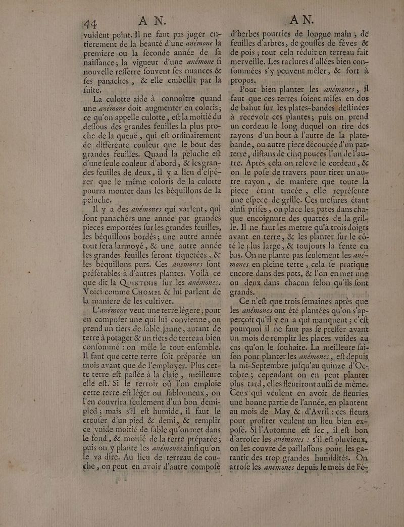 vuident point. Il ne faut pas juger en- tierement de la beauté d’une #rémone la premiere ou la feconde année de fa nailfance; la vigueur d’une avémone 1 nouvelle refferre fouvent fes nuances & fes panaches , & elle embellit par la fuite. La culotte aide à connoître quand une anémone doit augmenter en coloris; ce qu’on appelle culotte, eft la moitié du deflous des grandes feuilles la plus pro- che de la queuc , qui eft ordinairement de différente couleur que le bout des orandes feuilles. Quand la peluche eft d’une feule couleur d’abord, & les gran- des feuilles de deux, il ÿ a lieu d'efpé- rer que le même coloris de la culoire pourra monter dans les béquillons de la peluche. ME | | Il y a des anémones qui varient, qui font panaché:s une année par grandes ieces emportées fur les grandes feuilles, Fe béquillons bordés; une autre année tout fera larmoyé, & une autre année les grandes feuilles feront tiquetées , & es béquillons purs. Ces azémones font préférables à d’autres plantes. Voilà ce que dit la Quinrinre fur les anémones. Voicicomme CHomez & lui parlent de la maniere de les cultiver. L'anémone veut uneterrelégere; pour en compofer une qui lui convienne, on prend un tiers de fable jaune, autant de terre à potager & un tiers de terreau bien confommé : on mêle le tout enfemble. Il fant que cette terre foit préparée un mois avant que de l’employer. Plus cet- te terre eft pale à la claie , meilleure ellé eft. Si le terroir où l’on emploie cette terre eft léger ou fablonneux, on l'en couvrira feulement d’un bon demi- pied ; maïs sil eft humide, il faut le ereuler. d'un pied & demi, & remplir ce vuide moitié de fable qu'on met dans le fond , & moitié de la rerre préparée ; puis on, y plante les axémouesainfi qu'on le va dire. Au lieu de terreau de cou- AN. d'herbes pourries de longue main ; dé feuilles d'arbres, de goufles de féves & de pois ; tout cela réduiten terreau fait merveille. Les raclures d’allées bien con- fommées sy peuvent mêler, & fort à propos. | Pour bien planter les æveémones, à faut que ces terres foient miles en dos de bahut fur les plates-bandes deftinces a recevoir ces plantes; puis on prend un cordeau le long duquel:on tire des rayons d’un bout à l’autre de la plate- bande, ou autre pisce découpée d’un par= terre, diftans de cinq pouces l’un de l'au- tre. Après cela on releve le cordeau , & on le pofe de travers pour tirer unau- tre rayon, de maniere que toute la piece étant tracée , elle repréfente une efpece de grille. Ces mefures étant ainfi priles , on place les. pates dans cha- que encoignure des quarrés de la oril- le. Il ne faut les mettre qu'a trois doigts avant en terre, & les planter fur le cô- té le plus large, & toujours la fente en bas. On ne plante pas feulement les 4ré- mones en pleine terre , cela fe pratique encore dans des pots, & l’on en mer une ou deux dans chacun felon qu'ils font grands. : LARLE Ce n'eft que trois femaines après que les znémones ont été plantées qu’on s’ap- perçoit qu'il ÿ en a qui manquent ; c'eft pourquoi il ne faut pas fe prefler avant un mois de remplir les places vuides au cas qu'on le fouhaite. La meilleure fai- fon pour planter les arémones, eft depuis la mi-Septembre jufqu’au quinze d'Oc. robre ; cependant on en peut planter plus tard, elles fleuriront auffi de même. Ceux qui veulent en avoir de fleuries une bonne partie de l'année, en plantent au mois de May &;d’Avril :ces fleurs pour profiter veulent nn lieu bien ex= pofé, Si l'Automne eft fec, il eft bon d'arrofer les anémones : s’il eft pluvieux, on les couvre de paillaffons pour les ga- rantir des trop grandes humidités. On D ALU à arrofe les arérrones depuis lemois de Fe-