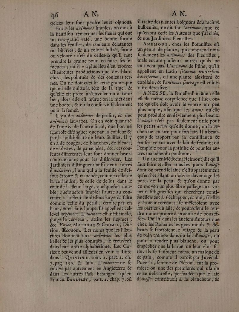 gelées léur font perdre léurs oignons. Entre les #némones fimples, on doit à la fleurifon remarquer les fleurs qui ont un très-grand vafé, une bonne formé dans les feuilles, dés couleurs éclatantes où bifärres, & un coloris luftré, fatiné ‘ou velouté : c’éft de celles-la qu'il faut prendre la graine pour en faire {es fe- menceés ; car il y a plus lieu d’en efpérer d’heureufes productions que dés blan- ches, des pointuës & des couléurs ter- nés. On ne doit cueillir cette graine que quand elle quite la têre de la tige, & qu'elle eft prête à s’envoler où à tom- ber ; alors elle eft mûre : on la met dans une boëte , & on la conferve féchement pour la fèmer. Il ÿ a des ænémiones de jardin, & des anémones fauvages. On en voit quantité de l'une & dé l’autre forté, que l’on ne fçauroit diftinguer que par la couleur & par la mulripliciré de leürs feuilles. Il y en a de rouges, de blanches; de bleués, de violettes , de panachées , &c. ces cou- leurs différentes leur font donner beau- coup de noms pour les diftinguer. Les “Jardiniers diftinguent aufli deux fortes d'arémones , l'une qui a la feuille de def- fous étroire & tranchée; comme celle de la coriandre , & celle dé deflus dans lé tour de la fleur large, quelquefois dou- ble, quelquefois fimple; l’autre au con- traite à la fleur de déffous large & faite comme celle du pérfil, étroite pat en haut , &’eft fans houpe. Ils appellent cel- le-ci #rrémone. L'anémone eft médicinale, purge le'cerveau ; attire les flegmes , &c: Voyez MaATHIo1E & Come, Dic- tion. Econom. Les noms que les Fleu- riftés donneñt ‘aux ‘wrémbnes les plus belles & les plus coninuës, fe trouvent dans leur ordre alphabétique. Les Cu- rieux peuvent d’ailleurs en voir R Lifte dans là QuinTiNte. tom. 2. part. 2. ch. 7.pag. 399. & fuiv. L'erémonene fe cultive pas autrement en Angleterre & dans les autres Païs Etrangers qu'en France, BRADELEY , part. 2. chap. 7.0ù il traite des plantés à oignons & à racines bulbeufes, ne dit fur l'arérone, que cé qu'enont écrit les Auteurs que j'ai cités, & nos Jardiniérs Fleuriftes. +14 ANEMONE, chez les Botaniftes eft un genré de plante, qui comprend non- feulement les arémones des Fleuriites , maïs encore plufeurs autrés qu'ils ne cultivént pas. L’némone dé Pline, qu'ils appéllént en Latin folanum fruricofum baccifernm , et une plante alexitere & cordiale ; & l'arémone fauvage eft vulné« raire déterfive. HU RE ANESSE, la femelle d’un âne :ellé êft de même corpulence que l’âne; ou= tré qu'elle doit avoir le ventre un peu plus ample, afin que les 27075 qu’elle peut produire en deviennent plus beaux. L'anñejje n'eft pas feulément utile pouf les petits 47075 qu’elle donne, on la re cherche encore pour fon lait. 11 a beau- coup de rapport par fa confiftance & Pemploïié pour la phrhifie & pour les au= tres maladiés du poulmon. Un ancienMédecin(Helmont)dit qu'il faut faire étriller tous les jours l’areffe dont on prend le laït ; c’eftapparémment qu'en létrillant on ouvre davantage les pores de la peau, & qu'on donne pat ce moyen un plus libré paffage aux va< peurs fuliginèeufes qui cherchent conti- fuellëment à s'échapper, & qui, fi elles y étoieñr réténués, fe mêleroient avec Fes parties du lait, & pourroïent le ren- dre moins propre à produire de bonsef: fets. On lit dans les anciens Auteurs que chez les Romains les gens mouls & dé Jicats fe frottoient le vifage & la peau de pain trempé dans du lait d’éreffe , où émpécher que la barbe ne‘leur vint ft tôt. Ils fe faifoiént même un mafquede ce pain, comme il paroïît par Juvénal. Porrr'e, femme de Néron, fut la pre- miére'ou une des premieres qui ufa de cette délicatelle, perfuadée que le laïc : d'andffe contribuoit al: blancheur , &