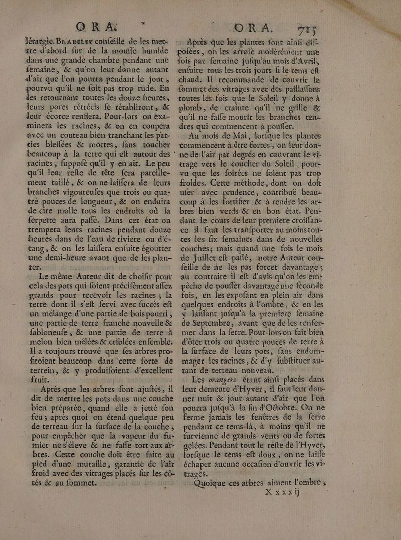 GRA Jératoie. BrADétew cohfeillé de les met- tre d’abord. fur! de la moufle humide dans uné grande chambte pendant unë femaine, &amp; qu'on leur dénne autant d'air que l’on pourra pendant le jour, pourvu qu'il ne foit pas trop rude, En des retournant toutes les douze heures, leurs pores rétrécis fe térabliront, &amp; leur écorce renflera. Pour-lors on exa- mineta les racines, &amp; on en coupera avec un couteau bien tranchant les pat- cies bleflées &amp; mortes, fans toucher beaucoup à la terre qui elt autour des racines ; fuppolé qu’il y en ait. Le peu qu'il leur refte de tête fera pareille- ment taillé, &amp; on ne laifflera de ieurs branches vigoureufes que trois ou qua- tré pouces de longueur, &amp; on enduira de cire molle tous les endroits où la ferpette aura paflé. Dans cet état on trempera leurs racines pendant douze heures dans de l’eau de riviere ou d’é- tang , &amp; on les laillera enfuite égoutter une demi-heure avant que de les plan- Ter. . é Le même Auteur dit de choifir pout cela des pots qui foient précifémentaflez grarids pour recevoir les racines ; la terre dont il s’eft fervi avec fuccès eft un mélange d'une partie de bois pourri ; une partie de terre franche nouvelle &amp; fabloneufe , &amp; une partie de terre à melon bien mêlées &amp; criblées enfemble. Il a toujours trouvé que {es arbres pro- fitoient beaucoup dans cette forte de terrein, &amp; y produifoient d’excellent fruit. . Après que les arbres font ajuftés, il dit de mettre les pots dans une couche bien préparée, quand elle à jetté fon feu ; après je on étend quelque peu de terreau fur la furface de la couche ; pour empêcher que Ja ‘vapeur du fu- bres. Cette couche doit être faite au pied d’une muraille, garantie de Pair froid avec des vitrages placés fur les 66- tés &amp; au fommet. | æ OR A. polées ,:oh les arrofè modérément une fois par femaine jufqu'au mois d'Avril, enfuite tous les trois jouts fi le tems eft chaud. Il récommande de couvrir le fommet des vitrages avec des paillaffons toutes lés fois que le Soleil y donne à plomb, de crainte qu'il ne grille: &amp; dres qui commencent à poufler. Au mois de Mai, lorfque les plantes Éommencent à être fortes, on leur don- ne de l'air par degrés en couvrant lé vi- trage vers le coucher du Soleil ; pour froides. Cette méthode, dont on doit ufer avec prudence, contribue beau coup à les Es &amp; à rendre les arz bres bien verds &amp; en bon état. Pen- dant le cours de leur premiere croiffan- ce il faut les tranfporter au moinstou- tes des fix femaines dans de nouvelles couches; tmais quand une fois le mois de juillet elt paflé, notre Auteur con- {eille de ne les pas forcer davantage; au contraire il eft d'avis qu’on les em: pêche de poufler davantage une feconde fois, en les expofant en plein air dans quelques endroîts à fonbie: &amp; en les y daïffant jufqu'à la premiere femaine de Septembre, avant que de les rénfer- mer dans la ferre. Pour-lors on faît bien d'ôter trois où quatre pouces de terre à la furface de leurs pots, fans endom- mager les racines, &amp; d'y fubftituer au- tant de tertéau nouveau. Les orangers Étant ainf placés dans leur demeure d'Hyver, il faut leur don- net nuit &amp; jour autant d'air que l’on pourra jufqu'à la fin d'Otobre. On ne ferme jamais les fenêtres de la ferre pendant ce tems-là, à moins qu'il ne furvienne de grands vents ou de fortes gelées. Pendant tout le refte de l'Hyver, échaper aucune occafion d'ouvrir les vi- trages. Quoique ces aïbres aiment l'ombre ;