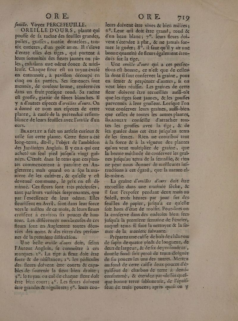 OR E faille. Voyez PERCEFEUILLE. OREILLE D'OURS, plante qui pouflé de fa racine des feuilles grandes, polies, grafles, tantôt dentelées, tan- tot entieres, d’un. goût amer. Il s’éleve d’entre elles des tiges, qui portent à | leurs fommités des fleurs jaunes ou pà- les , exhalans une odeur douce &amp; miel- leufe. Chaque fleur eft un tuyam évafé en entonnoir , &amp; pavillon découpé en cinq ou fx parties. Ses: femences. font menuës, de couleur brune, renfermées dans un. fruit prefque rond. Sa racine eft groffe, garnie de fibres blanches. H ÿ a d’autres efpeces d'oreilles d'ours. On a donné ce nom aux efpeces de cetre plante, à caufe de la prérendu£ reflem- blance de leurs: feuilles avec l'oreille d'un Ours. | BrAptzey à fait un article curieux &amp; utile fus cette plante. Cerre fleur aéré long-tems:, dit-il, l’objet de Fambition des Jardinters Anglois. Il y en a qui ont acheré un: feul pied jufqn'à vingt gui- nées. C’évoit dans le rems que cesplan- tes commencerent à paroitre en Ân- gleterre ; mais quand on à fçu la ma- iere de: les cultiver, &amp; qu'elle y eft devenué commune: le: prix en eft di- minué, Ces fleurs font très précieutes , tant parleurs variérés furprenantes, que par l'excellence de leur odeur. Elles fleuriffent en: Avril. font dans leur force versle milieu de ce mois, &amp; leurs fleurs croillent à environ fix pouces de hau- teur. Les différences nomhreufes de ces fleurs font ent Angleterre routes: déco: rées des noms, &amp; des titres des perfon- nes de la prèmiere diftinétion. Une belle: orcsile: d'ours doïr, felon FAuteur Anglais, fe: cannoïtre à ces marques: 1°. Lx tige: à fleur doit être forte &amp; de-réfiftancesz 2% les: pédivules des. fleurs doivent être: courts: 8 capa bles de: {aurenir la fleur:bien: droite; étre bien court; 4°. Les fleurs doivent ORE 719 leurs doivent être vives &amp; bien mélées; G°. Leur œil doit être grand, rond &amp; d'un beau blanc; 7°. leurs Aeurs doi vent s'étendre à plat, &amp; ne jamais for- mer le soder; 8°. il faur qu'il y aitune bonne quantiré de fleurs également éren- duës fur la tige: Une creille d'ours qui a ces perfec- tions eft bonne, ce n'eft que de cellest l&amp; dont il faut conferver la graine , pous en femer &amp; perpéruer d'autres, fr. on veut bien réuffir: Les graines de: certe fleur doivent être recueillies :aufi-rôt que les tiges font jaunes, &amp; les goufles veut conferver leurs graines, aufli-bien. que celles de toutes les autres plantes, Braperey confeille d’'arracher tou tes les goufles avec la tige, &amp; de les gardez dans cet état jufqu'an tems de les femer. Rien. ne: contribué tant à la force &amp; à la vigueur des: plantes qu'oix veut multiplier de graine, que E bonne méthode de conferver les grai- nes jufqu'au tems de la femaille, &amp; rien ne: peut Ra rnb de meilleures inf- truchions à cet égard; que: la nature: ele le-même: | La graine d'oreilles d'ours doit être recueillie dans une matinée féche, &amp; il faut l’expofer pendant deux mois au feuilles de papier, jufqw'a ce qu'elle: {oit hors d’érat de moifir. Pour-lors on la conferve dans des endroits biem fecs: jufqu'à la premiere femaine de Février, auquel: tems:ill faut la nettoyer &amp; la fee mer: de la maniere fuivanre: Préparezune caille de bais dechèneou: dé fapin: dequatre pieds de longueur, de: deuxdefargeur., &amp; defix de profondeur’, dontle fond: foir percé de trousiéloignés: de fix pouces les uns des autres. Merrez au fond: de certe caille deux pouces d'é- paifleur de charbon de terre à demi- confommé, &amp; érendez:par-deffus quel- ue:bonne terre: fabloneufe;, de l'épaift- is de: trois pouces:; après quoi: on ÿ