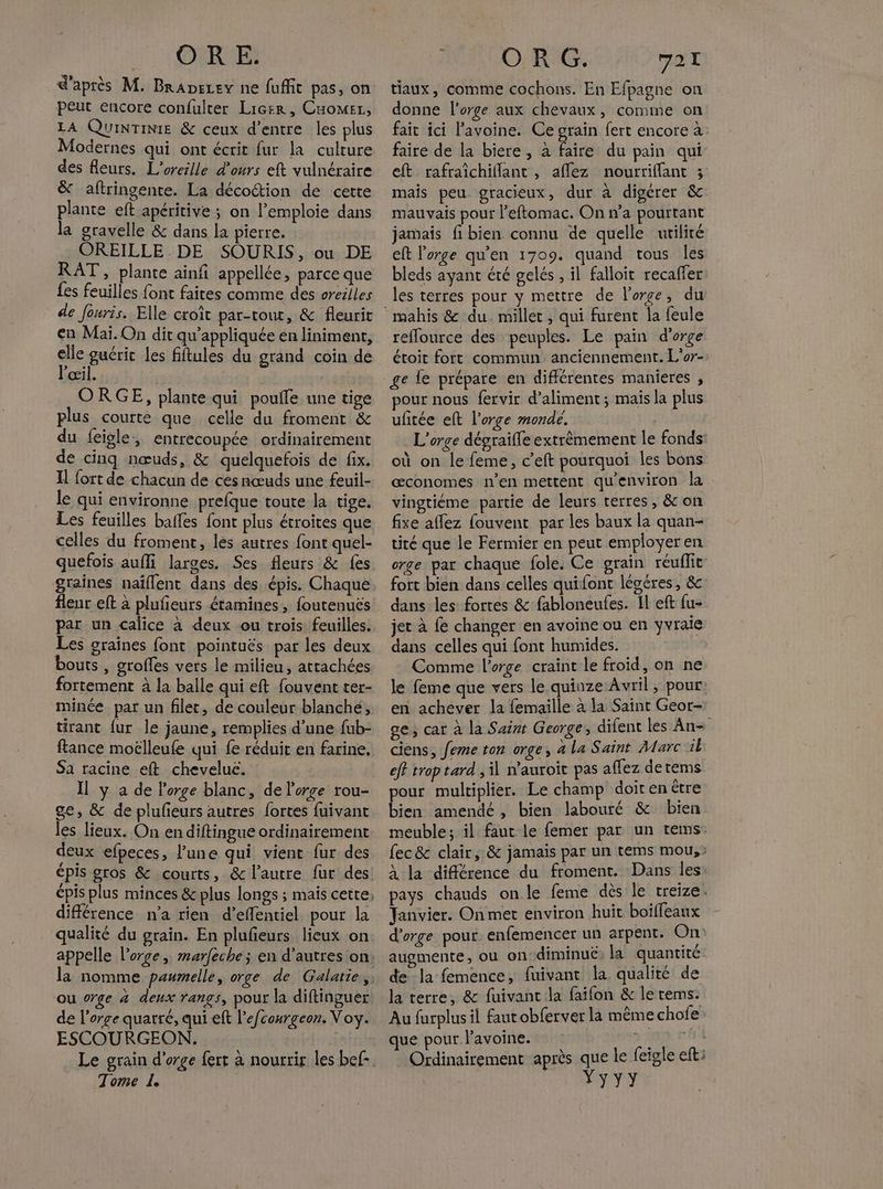 GE nn d'après M. Braprzey ne fuffit pas, on peut encore confulter Licer, CuoMmest, LA QUINTINIE & ceux d’entre les plus Modernes qui ont écrit fur la culture des fleurs. L'oreille d'ours eft vulnéraire & aftringente. La décoction de cette plante eft apéritive ; on l’emploie dans la gravelle & dans la pierre. OREILLE DE SOURIS, ou DE RAT , plante ainfi appellée, parce que fes feuilles font faires comme des oreilles de fouris. Elle croît par-tout, & fleurit en Mai. On dit qu’appliquée en liniment, elle guérit les fftules du grand coin de l'œil. | ORGE, plante qui poufle une tige plus courte que celle du froment & du feigle entrecoupée ordinairement de cinq nœuds, & quelquefois de fix. Il fort de chacun de ces nœuds une feuil- le qui environne prefque toute la tige. Les feuilles baffes font plus étroites que celles du froment, les autres font quel- quefois aufli larges. Ses fleurs & fes graines naïflent dans des épis. Chaque flenr eft à plufieurs étamines, foutenués par un calice à deux ou trois feuilles. Les graines font pointuëés par les deux bouts , grofles vers le milieu, attachées fortement à la balle qui eft fouvent ter- minée par un filer, de couleur blanché, tirant fur le jaune, remplies d’une fub- ftance moëlleufe qui fe réduit en farine, Sa racine eft chevelue. Il y a de lorge blanc, de l'orge rou- ge, & de plufieurs autres fortes fuivant les lieux. On en diftingue ordinairement deux efpeces, lune qui vient fur des différence n’a rien d’effentiel pour la e # e . qualité du grain. En plufieurs lieux on appelle l'orge, marfeche ; en d’autres on ou orge à deux rangs, pour la diftinguer de l'orge quarré, qui eft l’efcourgeon. Noy. ESCOURGEON., Le grain d'orge fert à nourrir les bef- Tome 1. ; OR G. 721 tiaux, comme cochons. En Efpagne on donne l'orge aux chevaux, comme on fait ici Pavoine. Ce grain fert encore à: faire de la biere , à faire du pain qui eft rafraïchiflant , aflez nourriflant ; mais peu gracieux, dur à digérer & mauvais pour leftomac. On n’a pourtant jamais fibien connu de quelle utilité eft l'orge qu'en 1709. quand tous Îles bleds ayant été gelés , il falloit recafer les terres pour y mettre de l'orge, du reflource des peuples. Le pain d'orge étoit fort commun anciennement. L'or- ge fe prépare en différentes manieres , pour nous fervir d’aliment ; mais la plus ufitée eft l'orge mondé. L'orge dégraifle extrêmement le fonds où on le feme, c’eft pourquoi les bons æconomes n'en mettent qu'environ la vingtiéme partie de leurs terres, & on fixe aflez {ouvent par les baux la quan- tité que le Fermier en peut employer en orge par chaque fole. Ce grain réuffic fort bien dans celles quifont légéres, & dans les fortes & fabloneufes. Il eft fu- jet à fe changer en avoine ou en yvraie dans celles qui font humides. Comme l'orge craint le froid, on ne le feme que vers le quinze Avril, pour en achever la femaille a la Saint Geor- ge, cat à la Saint George, difent les An- ciens, feme ton orge, à la Saint Marc il eff trop tard , il n’auroit pas affez detems pour multiplier. Le champ doit en être bien amendé, bien labouré & bien meuble; il faut-le femer par un tems: fec & clair, & jamais par un tems mou, À la différence du froment. Dans les pays chauds on le feme dès le treize. Janvier. On met environ huit boiffeaux d'orge pour enfemencer un arpent. On: augmente, ou on diminuë; la quantité de la femence, fuivant la qualité de la terre, & fuivant la faifon & le terms. Au furplus il fautobferver la même chofe que pour l’avoine. > San Fr Ordinairement après que le feigle eft: YyYY