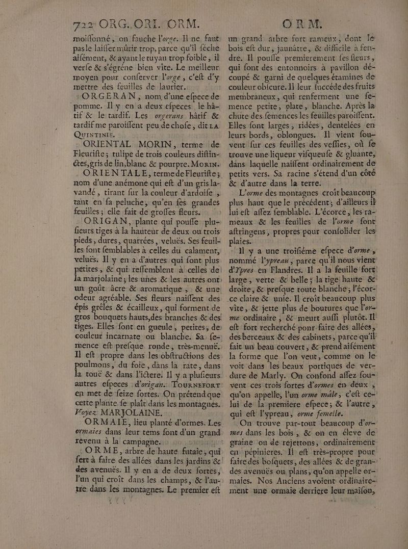 RM. moillonné, on fauche lorse. Ilne faut pasle laiffer mürir trop, parce qu’il féche aifément, &ayantleruyau trop foible, il verle & s'égréne bien vite. Le meilleur moyen pour conferver l'orge, c’elt d'y mettre des feuilles de laurier. | *ORGERAN ; nom d’une efpece de ‘pomme. Il y en a deux efpeces le hà- tif & le tardif. Les orgerans hâtif & tardif me paroiflent peu dechofe, dit LA QUINTINIE. ORIENTAL MORIN, terme de Fleurifte; tulipe de trois couleurs diftin- étes, gris de lin,blanc & pourpre. Morin. ORIENTALE, termedeFleurifte; nom d’une anémone qui eft d’un gris la- vandé, tirant fur la couleur d’ardoife , tant en fa peluche, qu’en fes grandes feuilles ; elle fait de groffes fleurs. ORIGAN, plante qui pouffe :plu- fieurs tiges à la hauteur de deux ou trois pieds , dures, quarrées, veluës. Ses feuil- les font femblables à celles du calament, velués. 11 ÿ en a d’autres qui font plus petites, & qui reffemblent à celles de la marjolaine ; les unes & les autres ont un goût âcre & aromatique , : & une odeur agréable. Ses fleurs naïflent des épis grêles & écailleux, qui forment de gros bouquets hauts,des branches & des! tiges. Elles font en gueule, perires, de: couleur incarnate ou blanche. Sa, {e- mence eft prefque ronde, très-menueë. Il eft propre dans les obftru@ions des poulmons, du foie, dans la rate, dans la touë & dans l'iétere: Il y a plufeurs autres efpeces :d’origan.. TOuRNEFORT en met de feize fortes. On prétend que cætte plante. fe plaît dans les montagnes. Voyez: MARYOLAINE. ORMAIE, lieu planté d’ormes, Les oïmaies dans deur tems font d’un grand revenu à la campagne. ART € -ORME, arbre de haute futaie, qui IX TZ ORG. ORI. des avenuës. Il y en a de deux fortes, Pan qui croît dans les champs, & l'au- tre dans les montagnes. Le premier eft OR M un grand arbre fort rameux, dont Îe bois eft dur, jaunâtre, & difficile à fen- dre. Il poufle premierement {es fleurs, qui font des entonnoirs à pavillon dé- coupé & garni de quelques éramines de couleur obicure. Il leur fuccéde des fruits membraneux, qui renferment une fe- mence petite, plate, blanche. Après l& chute des femences les feuilles paroilent. Elles font larges, ridées, dentelées en leurs bords, oblongues. Il vient fou- vent fur ces feuilles des veflies, où fe trouve une liqueur vifqueufe & gluante, dans laquelle naïffent ordinairement de petits vers. Sa racine s'étend d’un côté & d’autre dans la terre. L’orme des montagnes croit beaucoup plus haut que le précédent; d’ailleurs il lui eft affez femblabie. L'écorce, les ra- meaux & les feuilles de Forme font aftringens , propres pour confolider les plaies. | ‘Al y a une troifiéme efpece d'orme, nommé lypreau , parce qu'il nous vient d'Tpres en Flandres. Il a la feuille fort: large, verte & belle; la tige haute &c droite, & prefque toute blanche; Fécor- vie, & jette plus de boutures que l’er- me ordinaire , & meurt aufli plutôt. Il eft fort recherché ponr-faire des allées, des berceaux & des cabinets, parce qu'il fair un beau couvert, & prend aifément la forme que l’on veut, comme on le voit dans les beaux portiques de ver- vent ces trois fortes d'ores en deux , qu'on appelle, l’un orme male, c'elt ce- lui de la premiere efpece; & l’autre, qui eft l'ypreau, orme femelle. On trouve par-tout beaucoup d’or- mes dans les bois , & on en éleve de graîne ou de réjettons, ordinairement en pépinieres. Il eft rrès-propre pour faire des bofquets, des allées & de gran- des avenuës ou plans, qu’on appelle or- maies. Nos Anciens avoient ordinaire ment une ormaie derriere leur maifon,