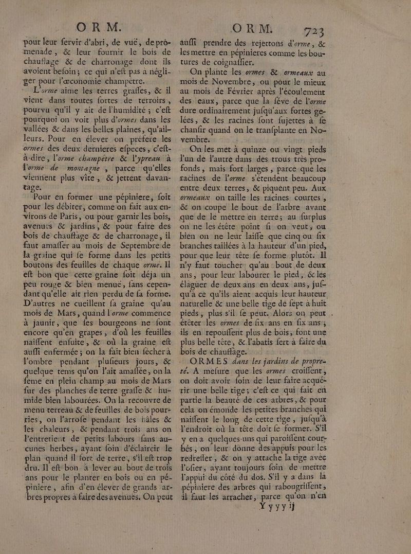 pour leur fervir d’abri, de vuc, de pro- menade , & leur fournir le bois de chaufiaye & de charronage dont ils avoient beloin; ce qui n’eft pas à négli- ger pour l'æconomie champètre. L'orme aime les terres oralles, & il vient dans toutes fortes de terroirs, pourvu qu'il y ait de l'humidité; c’eft pourquoi on voit plus d'ores dans les vallées & dans les belles plaines, qu’ail- leurs. Pour en élever on préfere les ormes des deux dernieres efpeces , c’eft- à-dire , l’orme champêtre & Vypreau à l'orme de montagne , parce qu’elles viennent plus vite, & jetrent davan- tage. Pour en former une pépiniere, {oit pour les débirer, comme on fait aux en- virons de Paris, ou pour garnir les bois, avenues & jardins, & pour faire des bois de chauffage & de charronage, il faut amafler au mois de Seprembre de la graine qui fe forme dans les petits boutons des feuilles de chaque or7xe. Il peu rouve & bien menuec, fans cepen- dant qu'elle ait rien perdu de fa forme. D'autres ne cueillent fa graine qu'au mois de Mars, quand l'orme commence a jaunir, que ls bourgeons ne font encore qu'en grapes, d'où les feuilles naiffent enfuite, & où la graine eft auffi enfermée ; on la fait bien {écher à Jombre pendant plufieurs jours, & quelque tems qu’on l'ait amaflée, on la feme en plein champ au moïs de Mars fur des planches de terre grafle & hu- mide bien labourées. On la recouvre de menu terreau & de feuilles de bois pour ries, on larrofe pendant les hâles & les chaleurs, & pendant trois ans on lentrertient de petits labours fans au- cunes herbes, ayant foin d’éclaircir le plan quand il forr de terre, s’il eft trop dru. Il eft bon à lever au bout de trois ‘ans pour le planter en bois ou en pé- piniere, afin d'en élever de grands ar- bres propres à faire des avenuës. On peut ORM. fes auîMi prendre des rejettons d’erme, & les mettre en pépinieres comme les bou- tures de coignaffier. | On plante les ormes 8 ormeaux au mois de Novembre, ou pour le mieux au mois de Février après l'écoulement des eaux, parce que la féve de l'arme dure ordinairement jufqu'aux fortes ge- lées, & les racines font fujettes à fe chanfir quand on le tranfplante en No- vembre. On les met à quinze ou vingt pieds l'un de l'autre dans des trous très pro- fonds, mais fort larges ; parce que les racines de l’orme s'étendent beaucoup entre deux terres, & piquent peu. Aux ormeaux on taille les racines: courtes , & on:coupe le bout de l'arbre avant que de le mettre en terre; au furplus on ne les étête point fi on veut; ou bien on ne leur laifle que cinq ou fix branches taillées à la hauteur d’un pied, pour que leur tête fe forme plutot. Il n'y faut toucher: qu’au : bout de deux ans, pour leur labourer le pied, 6 les élaguer de deux ans en deux ans, juf- qu'a ce qu’ils aient acquis leur hauteur naturelle & une belle tige de fept a huit pieds, plus s’il fe peut. Alors on peut étêter les ormes defix:ans en fix ans; ils en repouflent plus de bois, font une plus belle têre, &.labatis fert à faire du bois de chauffage. ORMES dans les jardins de propre- té. À mefure que les ormes croiflent, on doit avoir foin de leur faire acqué- rir une belle tige; c’eft ce qui faic en partie la beauté de ces arbres, & pour cela on émonde les petites branches qui naïffent le long de cette tige, jufqu'à l'endroit où la tête doit fe former. S’il y ena quelques-uns qui paroiflent cour: bés , on leur donne desappuis' pour les redrefler, & on y attache la tige avec V'ofier, ayant toujours foin de ‘mettre l'appui du côté du dos. S'il y a dans la pépiniere des arbres qui rabougriffent , il faut les arracher, parce qu'on nen Xyyyi
