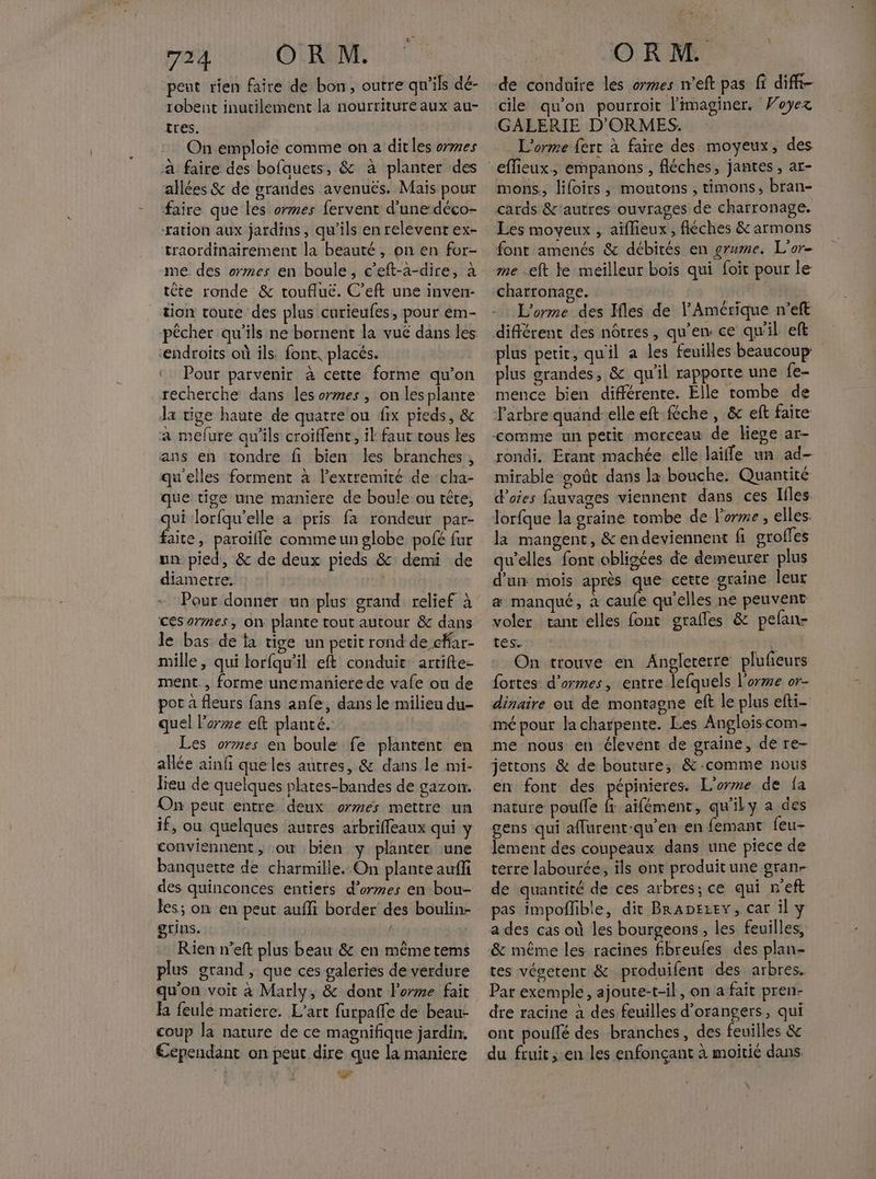 peut rien faire de bon, outre qu'ils dé- robent inutilement la nourriture aux au- tres. On emploie comme on a ditles ormes à faire des bofauets, & à planter des allées & de grandes avenuës. Mais pour faire que les ormes fervent d’unedéco- -ration aux jardins 3 qu'ils en relevent ex- traordinairement la beauté , on en for- me des ormes en boule, c’eft-àa-dire, à tête ronde & toufluc. C’eft une inven- tion coute des plus curieufes, pour em- pêcher qu'ils ne bornent la vué dans les ‘endroits où ils. font, placés. Pour parvenir à cette forme qu’on recherche dans les ormes , on lesplante la tige haute de quatre ou fix pieds, & a melure qu'ils croiflenr, il faut tous les ans en tondre fi bien les branches, qu'elles forment à l’extremité de cha- que tige une maniere de boule ou tête, qui Jorfqu’elle a pris fa rondeur par- faite, paroifle commeun globe pofé fur un pied, & de deux pieds & demi de diametre. Pour donner un plus grand relief à cesarmes, on plante tout autour & dans le bas de fa tige un petit rond de cfar- mille, qui lorfqu’il ef conduit: artifte- ment. , forme unemanierede vale ou de por à fleurs fans anfe, dans le milieu du- quel l'ore elt planté. Les ormes en boule fe plantent en allée ainli que les autres, & dans le mi- lieu de quelques plates-bandes de gazon. On peut entre deux ormes mettre un if, ou quelques autres arbriffleaux qui y conviennent, ou bien y planter ‘une banquette de charmille. On plante auffi des quinconces entiers d'ores en bou- Jes; on en peut aufli border des boulin- grins. Rien n’eft plus beau & en même tems plus grand , que ces galeries de verdure la feule matiere. L'art furpaffe de beau- coup la nature de ce magnifique jardin. Eependant on peut dire que la maniere L cile qu'on pourroit l'imaginer. Voyez GALERIE D'ORMES. L'orme fert à faire des moyeux, des mons., lifoirs, moutons , timons, bran- cards &'autres ouvrages de charronage. font amenés & débités en grume. L'or- me -eft te meilleur bois qui foit pour le charronage. L'orme des Ifles de l'Amérique n’eft différent des nôtres, qu'en ce qu'il ef plus petit, qu'il a les feuilles beaucoup plus grandes, & qu'il rapporte une fe- mence bien différente. Élle rombe de l'arbre quand elle eft Rche, & eft faire comme un petit morceau de Hege ar- rondi. Etant machée elle laifle un ad- mirable goût dans la bouche. Quantité d’oies fauvages viennent dans ces Ifles. lorfque la graine tombe de l'orme, elles. la mangent, & endeviennent fi groffes qu’elles font obligées de demeurer plus d'un mois après que cette graine leur æ manqué, à caufe qu'elles ne peuvent voler tant elles font gralles & pefan- tes. v On trouve en Angleterre plufeurs fortes d’ormes, entre lefquels l'orme or- dinaire ou de montagne eft le plus efti- mé pour la charpente. Les Angloiscom- me nous en élevent de graine, de re- jettons & de bouture, &-comme nous en font des pépinieres. L’orme de fa nature poule Ê aifément, qu'ily a des gens qui aflurent-qu’en en femant feu- lement des coupeaux dans une piece de terre labourée, ils ont produit une gran- de quantité de ces arbres; ce qui n'eft pas impoflible, dit BrADEzEy, car il a des cas où les bourgeons, les feuilles, & même les racines fibreufes des plan- tes véserent & produifent des arbres. Par exemple, ajoute-t-il, on a fait pren- dre racine à des feuilles d’orangers, qui ont pouffé des branches, des feuilles & du fruit, en les enfonçant à moitié dans.