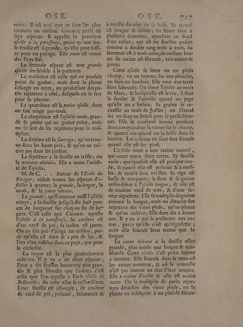 FE. OS br rose. Il ft vrai que ce font les plus fepc elpeces. Il appelle la premiere ofcille à la pareffeufe, parce qu'une feu- Je feuilleeft figrande, qu’elle peut fufk- re pour un potage. Elle nous eft venue des Pays-Bas. * La feconde efpece eft une grande efeille femblable à la patience. La troifiéme eft celle qui ne produit point de graine, mais dont la plante s'élargit en terre, en produifant des pe- tits rejetrons à côté, defquels on fe fert pour la planter. La quatriéme eft la petite ofeille, dont on fait ufage par-tout. La cinquième eft l’ofeille ronde, gran- de & petite qui ne graine point, mais on fe fert de {es rejettons pour la mul- tiplier. La fixiéme eft la fzuvage, qu'ontrou- ve dans les hauts prés, & qu’on ne cul- tive pas dans les jardins. La feptiéme a la feuille en tréfle; on la nomme slleluia. Elle a toute l’acédi- té de lofcille. : M. deC. . . Auteur de l'Ecole du Porager, réduit toutes les efpeces d'o- feilles à quatre; la grande, la longue, la ronde, & Îa jaune vivace. © La grande , qu'il nomme aufi l’oféille vierge , a la feuille jufqu’à dix huit pou- ces de longueur fur cinq ou fix de lar- geur. C’eft celle que Cuomer appelle lofeille à la pareffenfe. Sa couleur eft d'un verd de pré, fa racine eft jaune. On en fait peu d’ufage en cuifine, par- cæ qu'elle eft dure & a peu de fuc, & l'on n’en. cultive dans ce pays, que pour kB curiofité.- La longue eft la plus généralement cultivée. Il y en a de deux efpeces ; lune à fes feuifles beaucoup plus gran- des & plus blondes que l’autre; c'eft celle que l’on appelle à Paris ofeille de Belleville; du refte elles fe reffemblent. Leur feuille eft allongée , de couleur de verd de pré, pointué , échancrée & 727 / / à oreille du côté de fa bafe. Sa queuë Cft longue & délice; fes fleurs font à plufieurs étamines, attachées au fond d'un calice, qui eft fix feuilles pofées comme à double rang trois à trois. Sa femence eft à trois coins,de couleur bru- ne. Sa racine eft fibreufe , très-amere & jaune. | Cette ofcille fe feme ou en plein champ, ou en rayons, fur une planche, ou bien en bordure. Elle veut une terre bien labourée. On feme lofeille au mois de Mars, & lorfqu’elle eft levée, il faut Ra farcler & l’arrofer quand on juge qu’elle en a befoin. Sa oraine fe re- cueille au mois de Juillet ; on lérend fur un drap au Soleil pour fe perfe&ion- ner. Elle fe confervé bonne pendant deux aus quand on la vanne furle champ, & quatre ans quand on la laiffe dans fa bourre. Les oifeaux en font fort friands quand elle eft fur pied. L'ojeille ronde a une racine menue , qui court entre deux terres. Sa feuille varie; quelquefois elle eft prefque ron- de, & rantôt elle eft pointue & a oreil- les, & tantôt fans oreilles. Sa tige eft baffle & rempante; fa fleur & fa graine reflemblent à Po/éslle longue , & elle eft e couleur verd de mer, & d’une fa- veur aisrelette. Elle fe multiplie deoraine comme la longue, mais on détaché des rejettons des vieux pieds, qu'on plante & qu'on cultive; Elle dure dix à douze ans. Il y en à qui la préferent aux au- tres, parce qu'elle n'eft qu'aigrelerre ; mais elle fournit bien moins que longue. | | La jaune vivace a la feuille affez grande, plus ronde que longue & très- blonde. Cette ofcille n’eft point fajette à monter. Elle fournit dans le rems où les autres montent, & où la nouvelle n'eft pas encore en état d'être coupée, Elle a moins d'acide & elle eft moins verte. On la mulriplie de petits rejer- rons détachés des vieux pieds, on Îa plante en échiquier à un pied de diftarr-