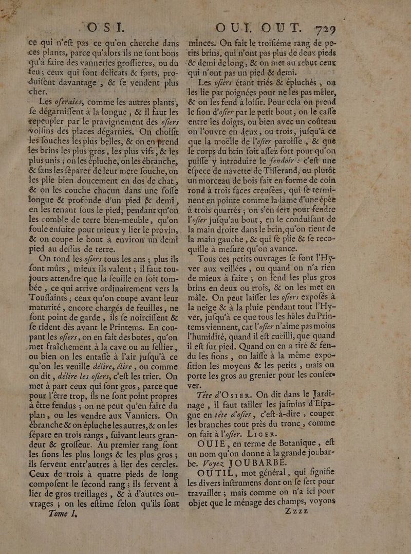 MOST. ces plants, parce qu’alors ils ne font bons qu'a faire des vanneries groflieres, ou du feu; ceux qui fonc délicats &amp; forts, pro- duifent davantage ; &amp; fe vendent plus cher. er Les oféraies, comme les autres plants, fe dégarniffent à la longue , &amp; il fau les tepeupler par le pravignement des offers voilins des places dégarnies. On choifit les fouches les plûs belles, &amp; on en ‘prend les brins les plus gros , les plus vifs, &amp; les plusunis ; on les épluche, on les ébranche, &amp; fans les féparet de leur mere fouche, on les plie bien doucement en dos de chat, &amp; on les couche chacun dans une foffe longue &amp; profonde d’un pied &amp; demi, les comble de terre bien-meuble, qu'on &amp; on coupe le bout à environ un demi pied au deflus de terre. On tond les ofers tous les ans ; plus ils font mûrs, mieux ils valent ; il faut tou- jours attendre que la feuille en foit tom- bée , ce qui arrive ordinairement vers la Touffaints ; ceux qu’on coupe avant leur matufité , encore chargés de feuilles, ne font point de garde , ils fe noirciffent &amp; fe rident dès avant le Printems. En cou- pant les ofers, on en fait desbotes, qu’on ou bien on les entafle à l’air jufqu’à ce qu'on les veuille délire, élire , ou comme on dit , delire les ofiers, c’eft les trier. On met à part ceux qui font gros , parce que pour l'être trop, ils ne font point propres à être fendus ; on ne peut qu’en faire du plan, ou les vendre aux Vanniers. On ébranche &amp; on épluche les autres, &amp; on les fépare en trois rangs , fuivant leurs gran- deur &amp; grofleur. Au premier rang font les fions 1 plus longs &amp; les plus gros ; ils fervent entr’autres à lier des cercles. Ceux de-trois à quatre pieds de long compofent le fecond rang ; ils fervent à lier de gros treillages , &amp; à d’autres ou- vrages ; on les etime felon qu'ils font Tome le ÿ OUT OUT. 729 minces. On fait le troifiéme rang de pe- qui n’ont pas un pied &amp;demi. Les offers érant triés &amp; épluchés , où les lie par poignées pour ne les pas mêler, le fion d’offer par le petit bout, on le cafle entre les doigts, ou bien avec un coûteau on l'ouvre en deux, ou trois, jufqu’a ce que la moclle de l'ofer paroïfle;, &amp; que le corps du brin foît aflez fort pour qu'on puilfe y introduire le ferdoir : c'eft une efpece de navette de Tiflerand, ou plutôt un morceau de bois fait en forme de coin rond à trois faces créufées, qui fe termi- nent en poiñte comme Jadame d’une épée à trois quarrés ; on s'en dert pour fendre lofer jufqu’au bout, en le conduifant de la main droite dans le brin qu’on tient de la main gauche, &amp; qui fe plie &amp; fe reco- quille à mefure qu'on avance. Tous ces petits ouvrages fe font l’'Hy- ver aux veillées , ou quand on n'a rien de mieux à faire ; on fend les plus gros brins en deux ou trois, &amp; on les met en mâle. On peut lailfer les offers expolés à la neige &amp; à la pluie pendant tout l'Hy- ver, jufqu’à ce que tous les hôles du Prin- tems viennent, car l’offer n'aime pas moins Fhumidité, quand il eft cucilli, que quand il eft fur pied. Quand on en a tiré &amp; fen- du les fions , on laïffe à la même expo fition les moyens &amp; les petits , mais on porte les gros au grenier pour Les conféere ver. Téte d'OsrBr. On dit dans le Jardi- nage , il faut tailler les jafins d'Efpa- gne entéte d’ofier, C'eft-à-dire ; couper les branches tout près du tronc , comme on fait à l’oféer. LiceRr. OUIE , en terme de Botanique, eft un nom qu’on donne à la grande joubar- be. Viyez JOUBARBE. | OUTIL, mot général, qui fignifie les divers inftrumens dont on fe fert pour travailler ; mais comme on n'a ici pour objet que le ménage des champs, voyons ZZz12z