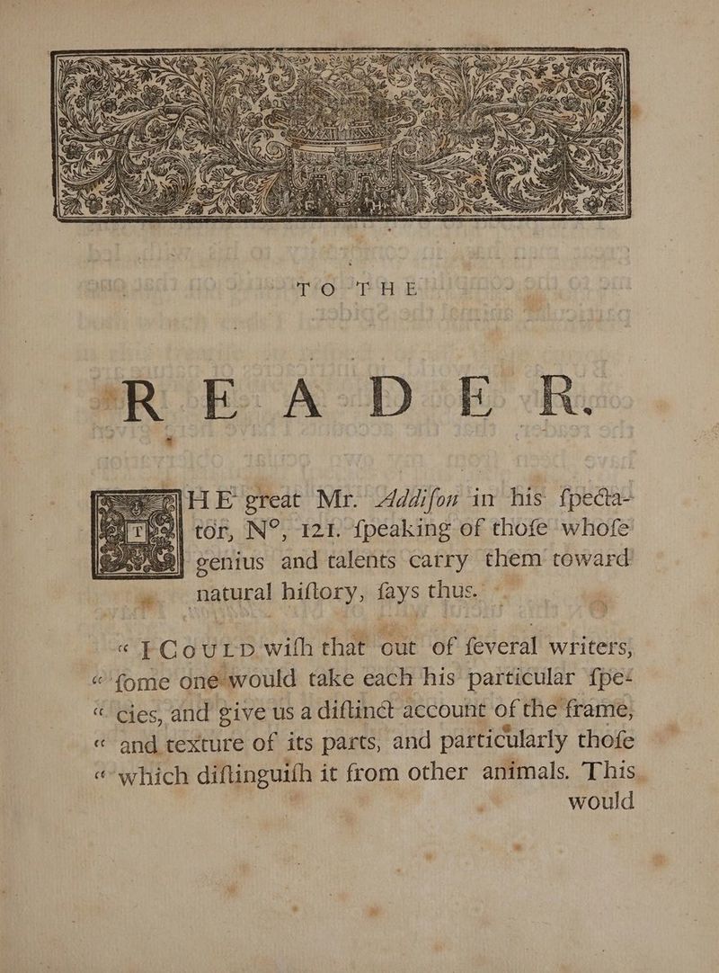 a HE great Mr. Addifon in his fpecta~ | tor, N°, 121. {peaking of thofe whofe ¥a9|| cenius and talents carry them toward natural hiftory, fays thus. « -CouLpD wih that cut of feveral writers, « fome oné would take each his particular {pe-+ « cies, and give us a diftinct account of the frame, « and texture of its parts, and particularly thofe «which diflinguith it from other animals. This. ; would