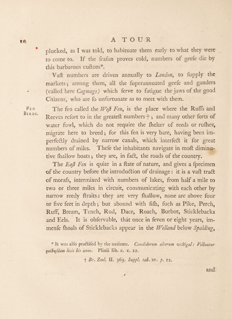 t® « Fen Birds. plucked, as I was told, to habituate them early to what they were to come to. If the feafon proves cold, numbers of geefe die by this barbarous cuftom*. Vaft numbers are driven annually to London, to fupply the markets •, among them, all the fuperannuated geefe and ganders (called here Cagmags) which ferve to fatigue the jaws of the good Citizens, who are fo unfortunate as to meet with them. The fen called the Weft Fen, is the place where the Ruffs and Reeves refort to in the greateft numbers T•? and many other forts of water fowl, which do not require the fhelter of reeds or rufhes, migrate here to breed; for this fen is very bare, having been im- perfedly drained by narrow canals, which interfed it for great numbers of miles. Thefe the inhabitants navigate in molt diminu¬ tive fhallow boats ^ they are, in fad, the roads of the country. The Eaft Fen is quite in a ftate of nature, and gives a fpecimen of the country before the introdudion of drainage : it is a vaft trad of morafs, intermixed with numbers of lakes, from half a mile to two or three miles in circuit, communicating with each other by narrow reedy ftraits; they are very fhallow, none are above four or five feet in depth; but abound with hfh, fuch as Pike, Perch, Ruff, Bream, Tench, Rud, Dace, Roach, Burbot, Sticklebacks and Eels. It is obfervable, that once in feven or eight years, im- menfe fhoals of Sticklebacks appear in the Welland below Spalding., * It was alfo pra£tifed by the antients. Candidorum alterum 'vedligal: Velluntur quibufdam loots his anno. Plinii lib. x. c. 22. f Br. Z00L II. 363. Sup pi. tab» xv. p. 22. and: