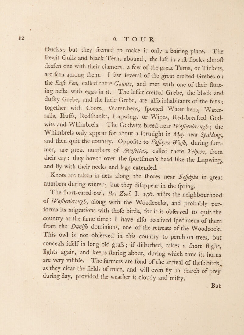 Ducks; but they feemed to make it only a baiting place. The I ewit Gulls and black Terns abound; the lalt in vaft flocks almoft deafen one with their clamors; a few of the great Terns, or Tickets, aie feen among them. I law feveral of the great crefted Grebes on the Eaft Fen, called there Gaunts, and met with one of their float¬ ing nefts with eggs in k. The leffer crefted Grebe, the black and dullsy Grebe, and the little Grebe, are alfo inhabitants of the fens; together with Coots, Water-hens, fpotted Water-hens, Water- lails, Ruifs, Redfhanks, Lapwings or Wipes, Red-breafted God- wits and Whimbrels. The Godwits breed near Wajhenbrough; the Whimbrels only appear for about a fortnight in May near Spalding,, and then quit the country. Oppofite to Foffdyke Wajh, during fum- mer, are great numbers of Avofettas, called there Telpers, from their cry: they hover over the fportfman’s head like the Lapwing, and fly with their necks and legs extended. Knots ait taken in nets along the fhores near Fojfdyke in great numbers during winter; but they difappear in the fpring. i he flioi t-eared owl, Br. Zoo!. I. 156. vifits the neighbourhood of Wajhenbrough, along with the Woodcocks, and probably per- forms its migrations with thofe birds, for it is obferved to quit the count! y at the fame time: I have alfo received fpecimens of them from the Danijh dominions, one of the retreats of the Woodcock. This owl is not obferved in this country to perch on trees, but conceals itfelf in long old grafs; if difturbed, takes a lhort flight, lights again, and keeps flaring about, during which time its horns are very vifible. The farmers are fond of the arrival of thefe birds, as they clear the fields of mice, and will even fly in fearch of prey ✓ during day, provided the weather is cloudy and mifly. But