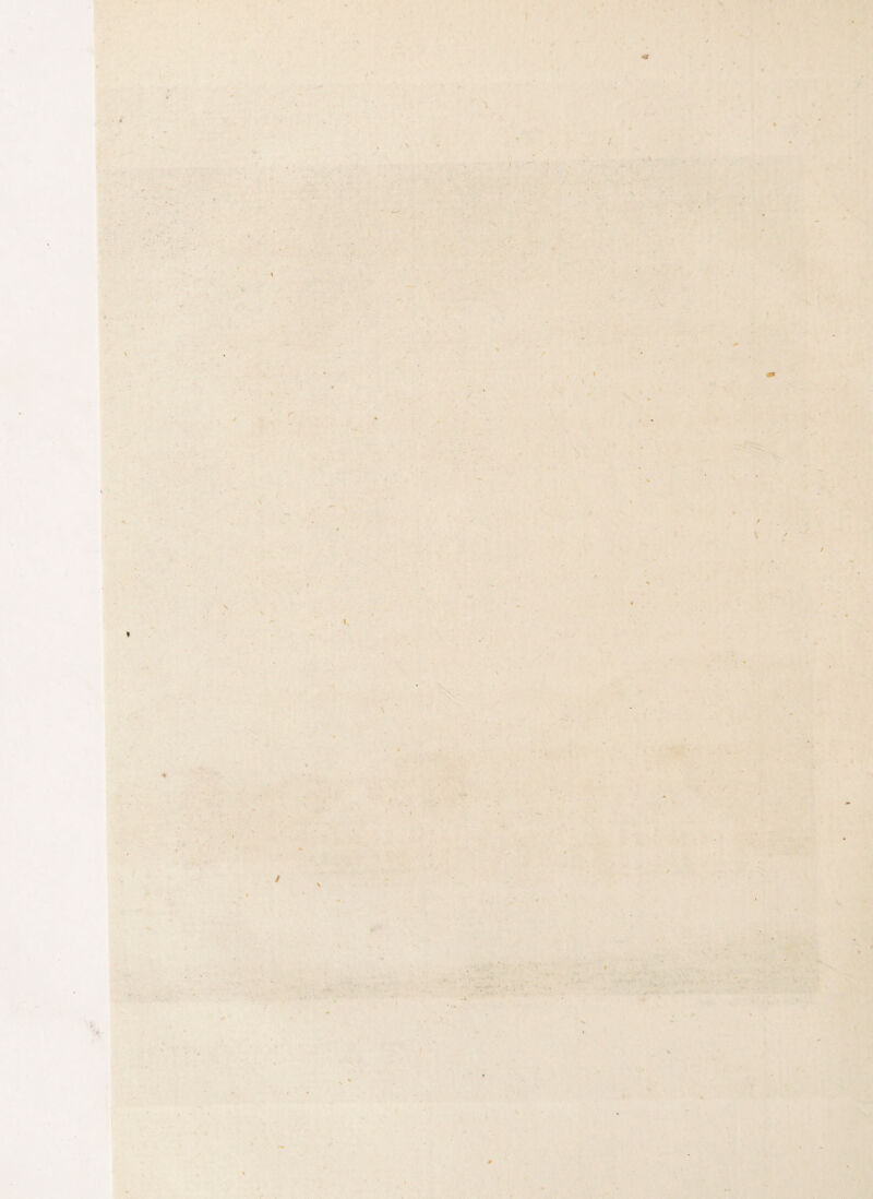 * f \ / / r ' * ;: . t \