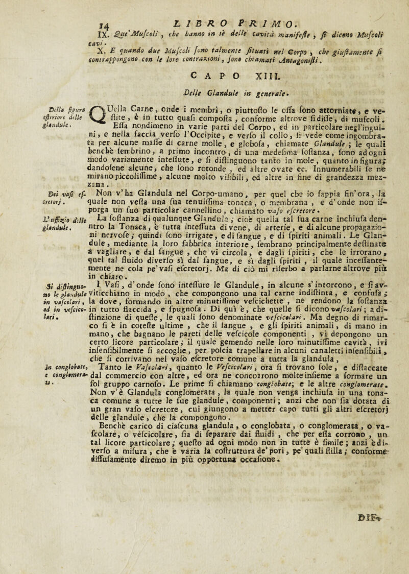 IX. ^e'Atufcolì , (he hanno in lè delle cavità manifefie , fì dic»m Mufcoli Cavi. X. E quando due Mufccìi fono talmente Jituatì nel Corpo » che giuflamente fi contrappongono con le loro contraMoni, Jone chiamati ointagomfii, Capo xiii. Delle Glandule in generale. rteìh pgura /'^Uella Carne, onde i membri, o pìuttofìo le offa fono attorniata, e ve- sfìeriorc dtlie fìlce , è in tutto quafi compofta , conforme altrove fìdiffe, di mufcoli. gletìdule. ^ Efla nondimeno in varie parti del Corpo, ed in particolare negl’ingui¬ ni, e nella faccia verfo l’Occipite, e verfo il collo, lì vede come ingombra¬ ta per alcune malTe di carne molle, e globofa, chiamate Glandule ; le quali benché lembrino, a primo incontro, di una medefìma follanza, fono ad ogni modo variamente inteflute, e fi difìinguono tanto in mole, quanto in figura; dandolene alcune, che fono rotonde , ed altre ovate ec. Innumerabili le ne mirano piccolilfime, alcune molto vifibili, ed altre in fine di grandezza mez¬ zana . D« vafi ef- Non v’ha Gianduia nel Corpo-umano, per quel cbe io fappia fin’ora, la cmerj. quale non velia una Tua tenuiffima tonaca, o membrana , e d’onde non if- porga un fuo particolar cannellino, chiamato vafo efcretore. Vuffizlo dille -La folianza di qualunque Gianduia y cioè quella tal fua carne inchiufa den- gìandule. la Tonaca, è tutta intelTuta di vene, di arterie, e di alcune propagazio¬ ni nervofe ; quindi fono irrigate, e di fangue , e di fpiriti animali. Le Glan¬ dule , mediante la loro fabbrica interiore, fembrano principalmente deftinate a vagliare, e dal fangue , che vi circola, e dagli fpiriti, che le irrorano, qnel tal fluido diverfo sì dal fangue, e si dagli fpiriti , il quale incelfante- mente ne cola pe’ vali efcretorj. Ma di ciò mi rilerbo a parlarne altrove più in chiaro. Si dijlìnguo- Vafi, d’onde fono intelTure le Glandule, in alcune s’intorcono, e fiav- flo ie viticchiano in modo , che compongono una tal carne indifiinta, e confufa ; in vefcolari, la dove, formando in altre minutiilìme vefcichette , ne rendono la foflanza ad in vefcico-in tutto flaccida , e fpugnofa . Di qui è, che quelle fi dicono t/zi/co/^jri; adi- hri. flinzione di quelle, le quali fono denominate vefcicelari. Ma degno di rimar¬ co fi è in cotefte ultime , che il (angue , e gli fpiriti animali, di mano in mano, che bagnano le pareti delle vefcicole componenti , vi depongono un certo licore particolare; il quale gemendo nelle loro minutiflìme cavita, ivi infenfibilmente fi accoglie, per polcia trapellare in alcuni canaletti infenfibiii , che fi corriva no nel vafo efcretore comune a tutta la gianduia , In conglohtef Tanto le Fa/tolariy quanto le Fe/cicalari, ora fi trovano fole, e diflaccate e congtemera^ dzl commercio con altre, ed ora ne concoirono molteinfieme a formare un fol gruppo carnofo. Le prime fi chiamano conglobate', c le altre conglomerate. Non v’è Gianduia conglomerata, la quale non venga inchiufa in una tona¬ ca comune a tutte le fue glandule, componenti ; anzi che non fia dotata di un gran vafo efcretore, cui giungono a metter capo tutti gli altri efcretorj delle glandule, che la compongono. Benché carico di ciafcuna gianduia , o conglobata, o conglomerata , o va- fcolare, o véfcicolare, fia di feparare dai fluidi , che per ella corrono , urj tal licore particolare; queflo ad ogni modo non in tutte è Amile; anzi édi¬ verfo a mifura , che è varia la coflruteura de’pori, pe’quali fiilia ; conforme diiTafaménte diremo in più opportuna occaflone •