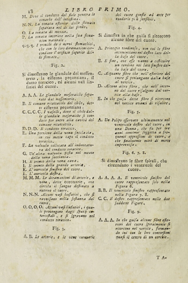 j3 libro ]M. Dove il condotto del fiele penetra le tonache dell' inteftina • N N. xLt* tonaca efierior delio fiomaco feparata nel di lui fondo ^ O. La tonaca di mex.x.o, P.  La tonaca interiore nella fua fitua- KÌon naturale . fi.q. q. I tronchi de i nervi ftomachlci ^ ' * che con le loro dirarnaToiom cir¬ condano i'orifiz,io [upsrÌQr del~ lo fiomacQ, •Fi cr SI dlmoftrano le glandule del meffen- terio , la ciflerna pequeaiana, il dutto toracico , ed alcuni vali lln- tacici del cuore. A. A. A. Le glandule meferaiche {spa¬ rate dal mejfenterio. B. Il comune ricettacolo del chilo^ del* to cifìerna pequeziana . C. C, C.C. / vafelHi dove il chilo dal¬ le glandule meferaiche fi con¬ duce per entro alla cavità del comune ricettacolo, D. D.D. Il condotto toracico. E. Una pornione della vena {uccia eia ^ in cui metti capo il condotto toracico. F. La valvula collocata all' imboccatu¬ ra del condotto toracico, G. Un'altra valvula pofia nel meato della vena {ucclavia. H. Il tronco della vena cava. I. Il tronco della grande arteria, • K. L' auricola fimfira del cuore. L. L'auricola deftra . M. M. M. Le diramax-ìoni dì arterie , $ ven^ , dette coronarie , ove circola il {angue defiinato a nutrire il cuore. N. N. N. ^Alcuni vafi linfatici , che fi ravvifano nella fofianxa del cuore . O. O, O. O. Alcuni vafi linfatici, / qua¬ li provengono dagli /paxj t>t- Ttrcoflali , e fi {gravano nel condotto toracico • Fig. 3* A. B. Le arterie, e le vene curt^tarJe PRIMO, del cuore gonfie ad arte per renderle più Jenfibili» •Fig. 4. Si dimofira in che guifa fi ritorcono alcune fibre del cuore. A. Principio tendinofo , con cui le fibre incominciano nel defiro lato del¬ la bafe del cuore. 13. Il fine, ove effe vanno a cofìituire un tendine nel lato [imfiro del^ la baje del cuore. C. Alquante fibre che , nell' efieriore del cuore fi prolungano dalla bafe al vertice . D. Alcune altre fi-bre , che nell' inter¬ no del cuore rijalgono dal ver¬ tice alla bafe. ÌE. In che guifa dette fibre fi ritorcono net vertice avanti di rifalire • Fig. 5* A. Un Polipo ojfervato ultimamente nel ventricolo defiro del cuore , in ttna Donna , che fu per tre anni continui foggetta a fre¬ quenti oppreffioni di cuore , e che finalmente morì di morte ìmprowija . Fig. 6. 7. 8, Si dimollrano le fibre fpirall, che circondano i ventricoli del cuore. A» A. A. A. Il ventricolo finiflro del cuore rapprefentato fola nella Figura 6, B. B. Il ventricolo finifiro rapprefentato nella Figura 7. 8. C. C, Il defiro rapprefentato nelle due juddette Figure, Fig. 9- A. A. A. In che guifa alcune fibre efie- riori del cuore jpiralmente fi ritorcono nel vertice , forman¬ do ivi cen le loro contorfioni fuaji il centro di un cerchio.