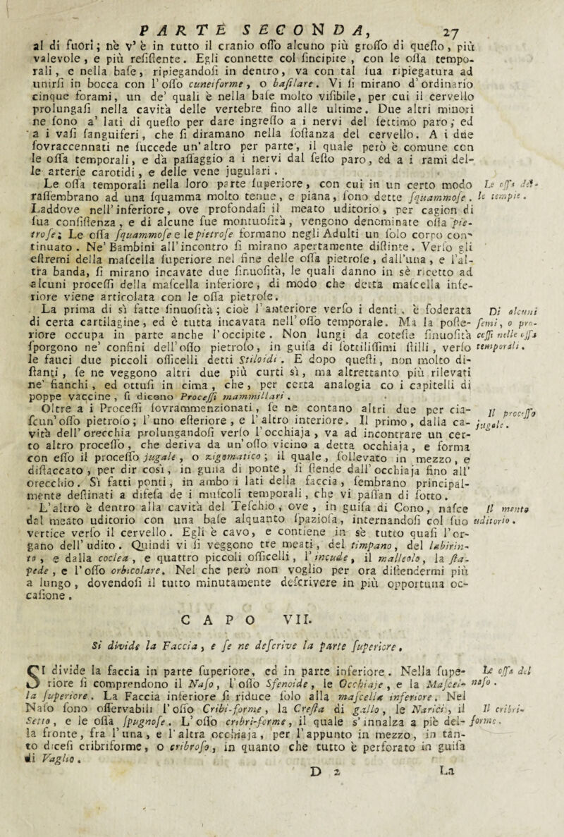 al di fuori; ne v’ è in tutto il cranio olTo alcuno più groffo di quefio, più valevole, e più refiUente. Egli connette col Ancipite , con le olla tempo¬ rali, e nella bafe, ripiegandoli in dentro, va con tal lua ripiegatura ad unirli in bocca con 1’odo cuneiforme, o bafilare. Vi lì mirano d’ordinario cinque forami, un de’ quali è nella baie molto vilìbiie, per cui il cervello prolungali nella cavita delle vertebre fino alle ultime. Due altri minori ne fono a’ lati di quefio per dare ingreflo a i nervi del lettimo paro; eJ 'a i vali fanguiferi, che fi diramano nella fofianza del cervello. A i due fovraccennati ne luccede un’altro per parte', il quale però è comune con le offa temporali, e da paflaggio a i nervi dal fello paro, ed a i rami del¬ le arterie carotidi, e delle vene iugulari . ^ Le ofia temporali nella loro parte Itiperiore, con cui in un certo modo Le rfft Jsf- raflembrano ad una Iquamma molto tenue, e piana, fono dette fquammofe. tempie. Laddove nell’inferiore, ove profondali il^ meato uditorio, per cagion di fua conlifienza , e di alcune fue montuofita , vengono denominate olla pie- trofei Le olla fqtiammofe eìepietrofe formano negli Adulti un Iblo corpo con' tinuato . Ne’Bambini all’incontro fi mirano apertanjente difiinte. Verfo gii eflremi della mafcclla l'uperiore ne! fine delle offa pietrole, dairuna , e l’al¬ tra banda, fi mirano incavate due finuofith, le quali danno in sè ricetto ad alcuni procefiì della mafcella inferiore, di modo che detta mafcclla infe¬ riore viene articolata con le olla pietrofe. La prima di si fatte finuofita ; cioè l’anteriore verfo i denti,, è foderata Dì aloinì di certa cartilagine, ed è tutta incavata nell’ofib temporale. Ma la pofie- femì^ 0 prò. riore occupa in parte anche l’occipite. Non lungi da cotelie ùnu.of\i2i ceffi nelle ijfs fporgono ne’ confini deU’oflo pietrolo, in guifa di fotcilifiìmi filili, verfo temporali, le fauci due piccoli oflicelii detti Stiloidi . E dopo quefii, non molto di- fianti , fe ne veggono altri due più curti si, ma altrettanto più rilevati ne’ fianchi, ed cttufi in cima , che , per certa analogia co i capitelli di poppe vaccine , fi dicono Procejì mammillari . Oltre a i Procefii fovrammenzionati, fe ne contano altri due per eia fcun’oflb pietrolo; l’uno efieriore , e l’altro interiore. Il primo, dalia ca Il preceffo sudale. vita dell’orecchia prolungandoli verfo l’occhiaia, va ad incontrare un cer¬ co altro procedo, che deriva da un’odo vicino a detta occhiaia, e forma con eflb il procefib jugale, o z.iggmattco ; il quale , follevato in mezzo, e difiaccato , per dir cosi, in guiia di ponte, fi fiende dall’occhia ja fino all’ orecchio. Si fatti ponti, in ambo i_ lati della faccia f'embrano principal¬ mente deftinati a difefa de i mulcoli temporali, che vi pafl'an di fotto. L’altro è dentro alla cavita del Tefehio , ove, in guifa di Cono, nafee II mento dal meato uditorio con una baie alquanto fpazioia, internandofi col iuo (uditorio. vertice verfo il cervello. Egli è cavo, e contiene in se tutto quali l’or¬ gano dell’udito. Qiiindi vi fi veggono tre meati, del timpano, del Ubìrin^ to , Q dalla coclea, e quattro piccoli officelli, V incude, il malleolo, la fta- pede , e rodo orbicolare. Nel che però non voglio per ora difiendermi più a lungo , dovendoli il tutto minutamente deferivere in più opportuna oc- cafione, CAPO VII. sì divide la Faccia, e fe ne deferive la parte fuperlore, I divide la faccia in parte fuperiore, cd in parte inferiore. Nella fups- Le offa dd ^ riore fi comprendono il Nafo, folio Sfenoide, le Occhiale , e la Majeei- »afo . la jupenore. La Faccia interiore fi riduce folo alla mafcelU inferiore. Nel Nato fono oflervabili i’ofiò Cribi-forme , la Crefìa di gallo, le Narici , il II s Seno, e le olia jpugnofe. L’oflb cribri-forme, il quale s’innalza a piè del-forme. la fronte, fra l’una, e l’altra occhia ja, per l’appunto in mezzo, iu tan¬ to dicefi cribriforme, o cribrofo, in quanto che tutto è perforato in guifa di Vagito. L.1 D a