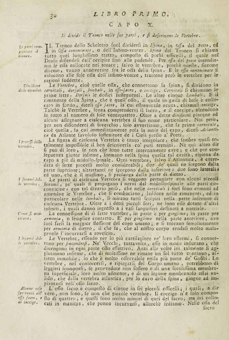 libro p-ì^i! ccm- punenii il tlbflCO . D<vi/Ì:>?e d.Ut v(ttetre. 7 prcci'Jjì delle '^iTiebre, 1 {ortmì del- h viritbre . Crmc jl arti- 1 legjjvì dil¬ li ver uhi e. yUcuni tofe fpe'tanti all’ «Jfo /acro , e il coccige. SO P I M 0. CAPO X. Si divide il Tronco nelle fue parti , e fi defcrivono le Vertebre, *SL Tronco dello Scheletro fuo! dividerfi in Ifpina, in offa del Petto ^ ed Jl. in Ofa innominate y o dellTnHmo-ventre. Spina del Tronco fi chiama tutto quel lunghilìlmo tratto, compoilo di pochi olficelli, il quale nel Dorfo dihendelì dall’occipite fino alle pudende. Per offa del petto intendia¬ mo le oiTa collocate nel torace; l'alvo le vertebre, poiché quelle, ficcome diremo, vanno annoverate fra le olia della Ipina. E le offa innominate fi riducono alle fole olia deli’infimO'ventre , trattene però le vertebre per le- ragioni fuddette. he'Vertebre^ cioè quelle olia, che connettono la fpina , fi dividono in cervicali, dorjali, lombali, in offo-Jacro, e coccige. Cervicali fi chiamano le prime lette* Vorjali le dodici lufleguenti. Le altre cinque Lombali. E il rimanente della Spina, che è quell’olio, il quale in guil’a di baie è collo¬ cato in fondo, dicefi offa Jacro, la cui eflremitade acuta, chiamali coccige. Talché le Vertebre, fenza comprendervi il lacro , e il coccige, afcendono in tutto al numero di fole ventiquattro. Oltre a dette divifioni piacque ad alcuni aflegnare a ciafcuna vertebra il fuo nome particolare. Noi però, per non diffonderci di foverchio , lolo avvertiamo, che la prima cervicale» cioè quella , fu cui immediatamente pofa la mole del capo , dicefi ^Atlanti- ca da Atlante favololo foffenitore de i Cieli preflò a’ Poeti. La figura di ciafcuna Vertebra e tanto irregolare, che fembra quafi to¬ talmente imponibile il ben delcriverla co’ puri termini. Ne qui altro dir li può di loro , fe non che fono tutte internamente cave ; e che per coa- l'eguenza giunte infieme, formano nella fpina quella tal cavita, ripiena da capo a piè di midollo-fpinale. Ogni vertebra, l'alvo l’Atlantica, è corre¬ data di fette procelfi molto conliderabili ; due de’ quali ne forgono dalla parte luperiore; altrettanti ne Iporgono dalla inferiore/ due fono laterali> ed uno, che é il ma filmo , fi prolunga dalla parte di dietro. Le pareti di ciafcuna Vertebra lì veggono pertugiate con alcuni piccoli forami , pe’ quali fi propagano i nervi dal midollo-fpinale alle parti cir¬ convicine/ con tal divario però, che nelle cervicali i fori fono comuni ad amendue le Vertebre, che fi combaciano; laddove nelle rimanenti, ed in particolare nelle lombali, li-mirano tutti fcolpiti nella parte inferiore di ciafcuna Vertebra. Oltre a i detti piccoli fori, ne fono elfe dotate d’altri infiniti, i quali danno ingrèfl'o a i vali fanguiferi deflinati a nutrirle. La conneihone di si fatte vertebre, in parte c per ginghmo ; in parte per armonia, o lemplice contatto. E’ ginglimo nella parte anteriore, ove liiol farli la maggior flefiione del copo umano; e fi toccano lemplicemente per armonia di dietro , il che fa , che al noffro corpo rendali molto mala¬ gevole rincurvarfi a rovefcio. Le Vertebre, efiendo per lo più cartilaginee ne’ loro efiremi, fi connet¬ tono fncondrof. Ne’ Vecchi, tuttavolta , effe in niodo indurano, che divengono in ogni parte oflo effettivo. Anzi alle volte ivi talmente fi ag¬ glutinano inlìemc, che di moltifiime ne rimane un fol tutto continuo, al¬ latto immobile ; lo che è molto ofi'ervabile nella più parte de’ Gobbi. Le a ertebre , nel contorcerfi, e ripiegarli dei Corpo umano , potrebbono di leggieri (comporfi , le provvedute non fofi'ero e di una fottilifilma membra¬ na lupcriiciale, loro molto aderente, e di un legame membranofo afiai va¬ lido, che dalla vertebra atlantica, per lo cavo della fpina, giugne ad im¬ piantarli nell’oflo facro. L’ofib facro é compoflo di cinque in fci piccoli ofiicelli ; i quali, a dir* vero, non fono, fe non che piccole vertebre. Il coccige n’è lolo compo-* fio di quattro; e quelli fono molto minori di quei del lacro; ma ivi collo¬ cati in manicjra, che ponno incurvarli, allorché fediamo. Nelle ofia del facro