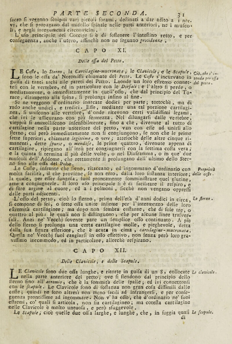 facro fi vp^gono fcolpiti varj piccoli forami,' desinati a dar adito a i ner¬ vi, che 11 propagano dal midollo fpinaie nelle parti anteriori, ne i rnufeo* li, e negli inregumenii circonvicini. L’ulo principale del Coccige il è di foflenere rinteftino retto, e per confeguenza, anche l’utero, alfinche non ne feguano ^rocidenx.^ . CAPO XI. Delle ojfit del Petto, Le Cofìe y Io Sterm y la Cartilagine-ìnucronata y le Clavicole, e le .Scapale , ciò, c^e s'i'i- fono le offa da’ Notomifli chiamate del Petto. Le Co/ìe s’incurvano in tenda per vjJ'j guifa di tanti archi alle pareti del Petto. Laonde un loro eflremo connet- del peno. tei! con le vertebre, ed in particolare con le Dorfali : e l’altro fi perde, o mediatamente, o immediatamente in quell’oflo, che dal principio del To« race, dirimpetto alla Ipina, fi prolunga infino al fine. Se ne veggono d’ordinario inarcate dodici per parte; tottoche , ma dì rado anche undici, e tredici , mediante una tal porzione cartilagi¬ nea, fi unifeono alle vertebreTd‘onde ricevono certi validifìlmi legami, che ivi le afficurano con più fermezza. Nel dilungarfi dalle vertebre, vieppiù fi ammollifcono infenfibilmente, fino a che, divenute al tutto di cartilagine nella parte anteriore del petto, van con efl'e ad unirli allo fierno; cui però immediatamente non fi congiungono, fe non che le prime fette fnperiori, chiamate legittime y o vere ; attelochè dplle altre cinque ri¬ manenti, dette fpurie y o mendofe, le prime quattro, divenute appena di cartilagine, ripiegano all’insù per congiugnerli con la fettima colla vera; e la quinta fi termina il più delle volte, o nel Diaframma, o rn que’ due mufcoli dell’Addome, che rettamente fi prolungano dall’ ultimo dello Ster¬ no fino alle offa del Pube. Le Colle, infrante che fieno, ritaccano, ed ingommano d’ordinario con Proprietà moka facilità, il che proviene, le non erro, dalla loro follanza interiore; delle ccjìe. la quale , per elTer fungola, luol prontamente lomminillrare quel glutine, atto a congiugnerle. Il loro ulo principale fi è di facilitare il refpiro, e di fare argine al cuore, ed a i polmoni , ficchè non vengano opprefìfi dalle parti adjacenti. L’olTo del petto, cioè Io llerno , prima dell’età d’anni dodici in circa, fi compone di fei, o fette offa unite infieme per l’intermezzo delle loro ellremità cartilaginee; ma dopo non fembra collarne, che di fole tre, o quattro al più; le quali non fi dillinguono, che per alcune linee trafver-p fall. Anzi ne’ Vecchj fovente pare un lemplice ollb continuato. A piè dello llerno fi prolunga una certa cartilagine molle, e pieghevole, detta dalla fua figura elleriore, che è acuti in cima , cartilagine~ mucronata. Qi-iella ne’ Vecchj fuol cangiarli in offo effettivo, non lenza però loro gra- vjlfimo incemmodo, ed in particolare, allorché refpirano, CAPO XII. Delle Clavicole y e delle Scapale. Le Clavicole fono due offa lunghe, e ritorte in guifa di un S, collocate Le clavicole. nella parte anteriore del petto; ove fi flendono dal principio dello llerno fino zìV acromio y che è la fommità delle Ipalle ; ed ivi connettonfi con le jcapule . Le Clavicole fono di lollanza non gran cofa diffìmili dalle colle; quindi ne fono altresi non meno facili ad infrangerli, e per confe- guenza prontilfime ad ingommare. Non v’ ha offo, che d’ordinario ne’ fuoi eli remi, co’ quali 11 articola, non Ila cartilagineo; ma cotella cartilagine melle Clavicole è molto untuofa , e però sfuggevole. J-e Scagnici cioè quelle due offa larghe, e lunghe, che, in foggia quali Le [apule. di