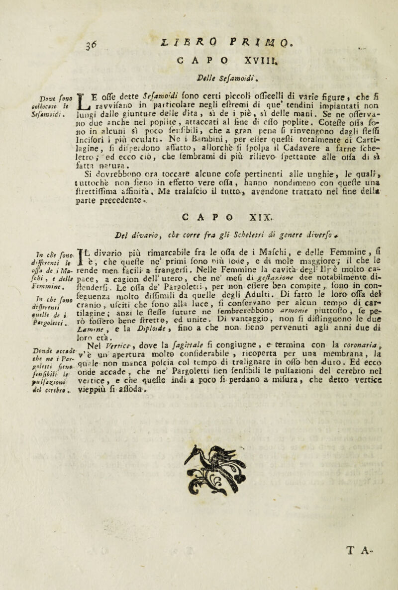 LinllQfRlHQ. G A P O XVIII, Dille Sefamoidt\ Dove fono T E offe dette Sefamoldi fono certi piccoli oflÌGelli di varie figure» che fi eoUocite le JLi ravvifaiiO in 'particolare negli eftremi^ di que’ tendini impiantati non Seftmosdì. lungi dalle giunture delle dita , si de i piè , si delle mani. Se ne ofietva- 110 due anche nel popi ite, attaccati al fine di elio poplite. Cotefle olla fo¬ no in alcuni si poco ferfibili, che a gran pena fi rinvengono dagli flelfi Incilori i più oculati. Ne i Bambini, per efier quefii totalmente di Carti¬ lagine, fi diifeidono affatto, allorché lì (polpa il Cadavere a f^rne fche- letro; ed ecco ciò, che lembrami di più rilievo- Ipettante alle olla di si fatta natura . Si dovrebbt'no ora toccare alcune cofe pertinenti alle unghie> le quali , tuttoché non fieno in effetto vere offa, hanno nondimeno con quelle una firettiffima affinità. Ma tralafcio il tutto-, avendone trattato nel fine dell* parte precedente*. CAPO XIX. Del divaria^ che corre fra gli Scheletri di genere diverfo * in che fono.'l^ divario più rimarcabile fra le olla de i Mafchi, e delle Femmine , (I differet7ii le 1 'c, che qucfie nc’ primi fono niù lode, e di mole maggiore; il che le ofa de iMa- rende men facili- a frangerli. Nelle Femmine la cavita degl’Hpè molto ca- fthi ^ e delle pace, a cagion dell’utero, che ne’ mefi di geftax.ione dee notabilmente di- Fcmmine. fìcnderfi. Le offa de’ Pargoletti, per non efiere ben compite, Ibiio in con- r r feguenza molto diffimili da quelle degli Adulti. Di fatto le loro offa dei di&reLl” cranio, ulchi che fono alla luce, fi confervano per alcun tempo di car- e,ùle de i tilagine; anzi le fìefìè future ne fembrerebbono armonie piuttofto , fe pe- Perpoltiti rò follerò bene Frette, ed unite. Di vantaggio, non fi diliinguono le due ’ Lamine , e la Diploide, fino a che non fieno pervenuti agli anni due di loro età. Nel Vertice i dove la fagìrtale fi congiugne, e termina con la coronaria^ Donde accade uji'apertura molto confiderabile , ricoperta per una membrana, la *oluu Vfwe* *ft*^*® manca polcia col tempo di tralignare in oflb ben duto. Ed ecco fenWii ie onde accade, che ne’ Pargoletti lien fenfibili le pullazioni del cerebro nel pulfazioni vertice, e che quelle indi a poco fi perdano a mifura, che detto vertice del cerebro,. Vieppiù fi afl'oda.