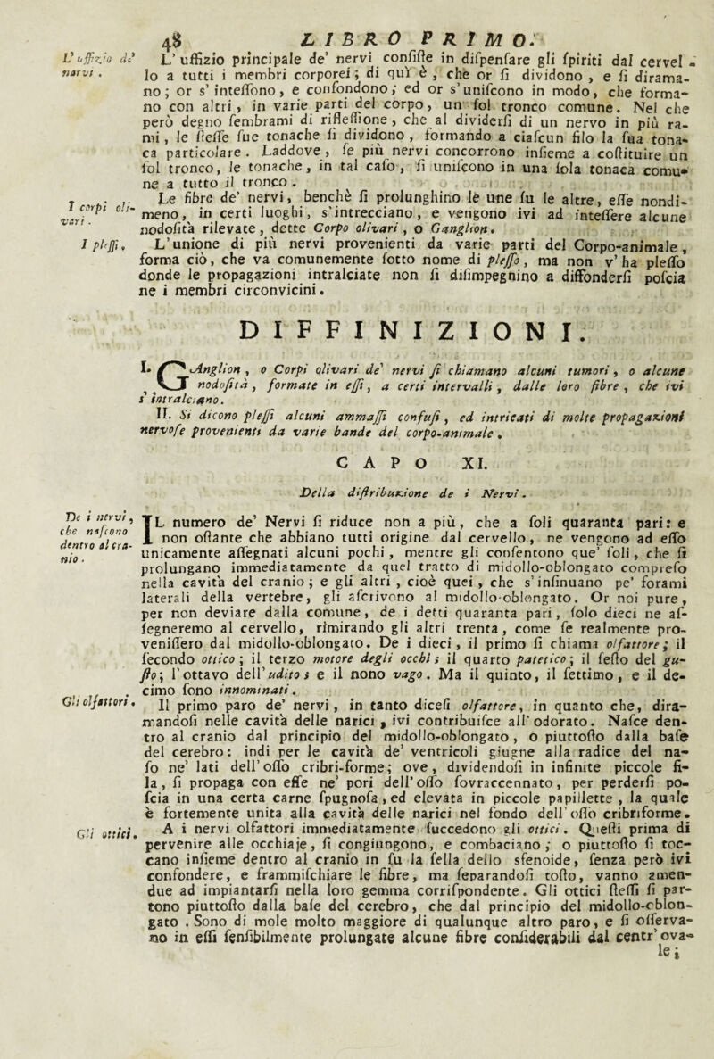 narvt . I corpi di¬ vari . I phjfi, De i nervi, (he nafiono dentro al Cra¬ nio ■ Gli olfattori, Gli ottici 4^ LI B R 0 primo: lo a tutti i membri corporei ; di qui è , che or fi dividono , e fi dirama¬ no ; or s’inteflbno, e confondono; ed or s’unifcono in modo, che forma¬ no con altri, in varie parti del corpo, un fol tronco comune. Nel che però degno fembrami di riflemone , che al dividerli di un nervo in più ra¬ mi , le fiefie fue tonache fi dividono , formando a ciafeun filo la fua tona- ca particolare . Laddove , fe più nervi concorrono infieme a cofìituire un lol tronco, le tonache, in tal cafo, fi unifeono in una loia tonaca comu¬ ne a tutto il tronco. ^ . » , Le fibre de’ nervi, benché fi prolunghino le une fu le altre, elTe nondi¬ meno, in certi luoghi, s'intrecciano, e vengono ivi ad intelTere alcune nodofit'a rilevate, dette Corpo olivari, o GangHon, L’unione di più nervi provenienti da varie parti del Corpo-animale, forma ciò, che va comunemente fotto nome di pleffo, ma non v’ ha plefifo donde le propagazioni intralciate non fi difimpegnino a diffionderfi pofeia ne i membri circonvicini. I DIFFINIZIONI. ’Anghon ^ o Corpi olivari de' nervi Jt^ chiamano alcuni tumori^ o alcune ^ nodofità, formate in ejjt, a certi intervalli ^ dalle loro fibre ^ che ivi s' intralciano. II. Si dicono pieffi alcuni ammajfi confufi ^ ed intricati di molte propagazioni nervofe proventenn da varie bande del corpo-ammale, CAPO XI. Della diftribur.ìone de i Nervi. * IL numero de’ Nervi fi riduce non a più, che a foli quaranta pari: e non ofiante che abbiano tutti origine dal cervello, ne vengono ad efifo unicamente aflégnati alcuni pochi, mentre gli confentono que’ foli, che li prolungano immediatamente da quel tratto di midollo-oblongato comprefo nella cavit'a del cranio; e gli altri , cioè quei , che s’infinuano pe’ forami laterali della vertebre, gli afetivono a! midollo-oblongato. Or noi pure, per non deviare dalla comune, de i detti quaranta pari, lolo dieci ne af- fegneremo al cervello, rimirando gli altri trenta, come fe realmente pro- venillero dal midollo-oblongato. De i dieci, il primo fi chiama o!fattore ; il fecondo ottico \ il terzo motore degli occhi i il quarto patetico \ il fello del gu~ fto\ l’ottavo ÀeW udito ì e il nono vago. Ma il quinto, il fettimo, e il de¬ cimo fono innominati. Il primo paro de’ nervi, in tanto dicelì olfattore, in quanto che, dira¬ mandoli nelle cavit'a delle narici p ivi contribuifee all’odorato. Nafce den¬ tro al cranio dal principio del midollo-oblongato, o piuttollo dalla bafe del cerebro; indi per le cavith de’ ventricoli giugne alla radice del na- fo ne’ lati deiroffo cribri-forme; ove, dividendoli in infinite piccole fi¬ la, fi propaga con effe ne’ pori deiroffo fovraccennato, per perderli po¬ feia in una certa carne fpugnofa , ed elevata in piccole papillette , la quile è fortemente unita alla cavità delle narici nel fondo dell offo cribriforme. A i nervi olfattori immediatamente) fuccedono gli ottici, Qiiefli prima di pervenire alle occhiaie, fi congiungono, e combaciano; o piuttofto fi toc¬ cano infieme dentro al cranio in fu la fella dello sfenoide, fenza però ivi confondere, e frammifehiare le fibre, ma feparandofi toflo, vanno amen- due ad impiantarli nella loro gemma corrifpondente. Gli ottici fteffi fi par¬ tono piuttoflo dalla baie del cerebro, che dal principio del midollo-cblon- gato . Sono di mole molto maggiore di qualunque altro paro, e fi offerva- no in effi fenfibilmente prolungate alcune fibre confideJiabili dal centi’ova-