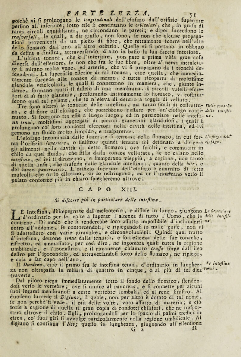 PARTE LERt A. f»okliè vi prolungano le longitudinali deU’efofago dall’orifizio fuperiore perfino all’inferiore; fotte effe fi continuano le orbtcoUri y che, in guifa di tanti circoli equidiftanti, ne circondano le pareti; edipei Succedono le trafverfali y le quali, a dir giallo, non fono, le non che alcune propaga- rioni provenienti da un plelfo di fibre , che rettamente fcorre nell’alto dello fiomaco dalTuno all’altro orifizio. Quelle vi fi portano in obliquo da deflra a ffnillra , attraverfando d’alto in baffo la lua faccia interiore. L’ultima tonaca, che è Tintcriore, non pare a prima villa gran cofa diverfa dall’elleriore, fe non che fra le fue fibre, oltre a’ nervi intralcia¬ te fi mirano molte vene, ed arterie > che vi fi propagano da i tronchi de- fcendenti. La fuperficie ellerior di tal tonaca, cioè quella, che immedia¬ tamente fuccede alla tonaca di mezzo, è tutta ricoperta di moltilfime sUndule vefcicolari, le quali fi connettono in maniera, che, giunte in*- fieme, formano quali il dillelo di una membrana, l piccoli vaielli efere- tori di SI fatte glandule, perforando intimamente lo Itomaco , vi collitui- feono quel tal pelame, che fc n’eleva di dentro a loggia di velluto. Tre fono altresì le tonache delle intellina; ma tanto limili di collriittu- Delle tov3cBz‘ la, c di fiore aH’efofago, che potreboono paffare per un’efofago conti-ìukjH- nuato. Si feorgono fra effe a luogo luogo, ed in particolare nelle intefìi- na. na. tenui y moltifiimi aggregati di piccoli granellini glanduiofi , i quali fi prolungano co” loro condotti elcretori nella cavita delle intellina, ed-ivi gemono un fluido nvoito limpido, e tralparente. L’efofago incomincia dalle fauci, e fi termina nello fiomaco, in cui for- Vrffz^ioddi*' ma rorifizio fuperiore y o Imifiroi quindi lembra Ibi deiiinato a dirigere • gli alimenti nella cavita di detto fiomaco ; ove fciolti , e commutati in chilo da quel fluido, che fiilla dalla tonaca vellutata, le ne calano nelle intefiina y ed ivi fi dirozzano, e fiemperano vieppiù, a cagione, non tanto di quella linfa , che trafuda dalle glandule intellinaii , quanto della bile , e del fucco pancreatico. L’orifizio, fuperior dell’elofago è guarnito di lette mulcoli, che or Io dilatano, or lo refiringono, ed or l’innalzano verfo il palato conforme più in chiaro fpiegheremo altrove. CAPO XIII. ^i difeorre più in particolare delle intefiina^ Le Interina, difimpegnate dal mefenterio , e difiefe in lungo, glurfgono U d’ordinario per lei vo'te a fuperar l’altezza di. tutto l’Uomo, che le delle intejli.- contiene. Di modo che fi renderebbe loro affatto impoffibile d’inchiuderfi entro all’addome, fe contorcendofi, e ripiegandofi in mille guile , non vi fi adattaffero con varie giravolte, e circonvoluzioni. Quindi quel tratto d’intefiina, dettone tenue dàlia tenuità, e fottigliezza delle fue tonache, rifiretto, ed ammaliato, per cosi dire, ne ingombra quali tutta la regione umbilicale, e l’ipogaftrio; e il rimanente chiamato crajfo lorge dall’ileo deliro per l’ipocondrio, ed attraverfandoli fotto dello fiomaco,. ne ripiega, e cala a far capo nell’ano. II Duodeno, cìoQ il primo fra le intefiina tenui, d’ordinario in lunghez- tntejlin* za non oltrapaffa la mifura. di quattro in cinque, o al più di fei dita traverfe .. Dal piloro piega immediatamente fotto il fondo dello fiomaco, fienden- dofi^ verfo. le vertebre; ove fi unifee al pancreas , e fi connette per alcuni luci legami membranofi a certe vertebre lombali, ed al rene finifiro. Al duodeno luccede il Digiuno y il quale, non per altro è dotato di tal nome, le non perchè fi vede, il più delle volte, voto affatto di materia; e ciò forfè a cagione di quella si gran copia di condotti chiliferi, che ne trafpor- tano altrove il chilo. Egli, prolungandoli per lo Ipazio di palmi tredici in circa, co’ fuoi giri fi avvolge particolarmente nella regione umbilicale . Al digiuno fi continua Vlltop quefio in lunghezza , giugnendo all’efienfionc. G a dx.